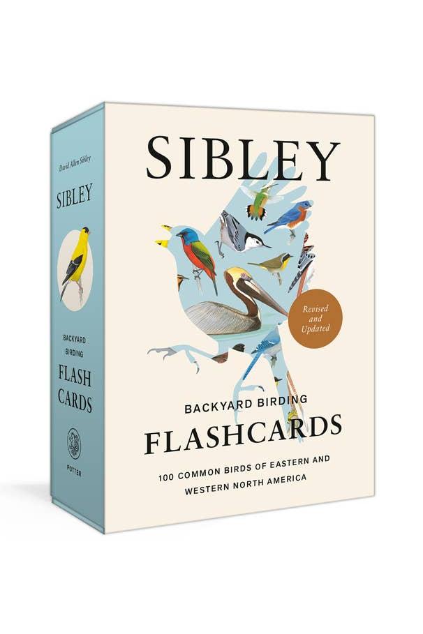 Sibley Backyard Flashcards
