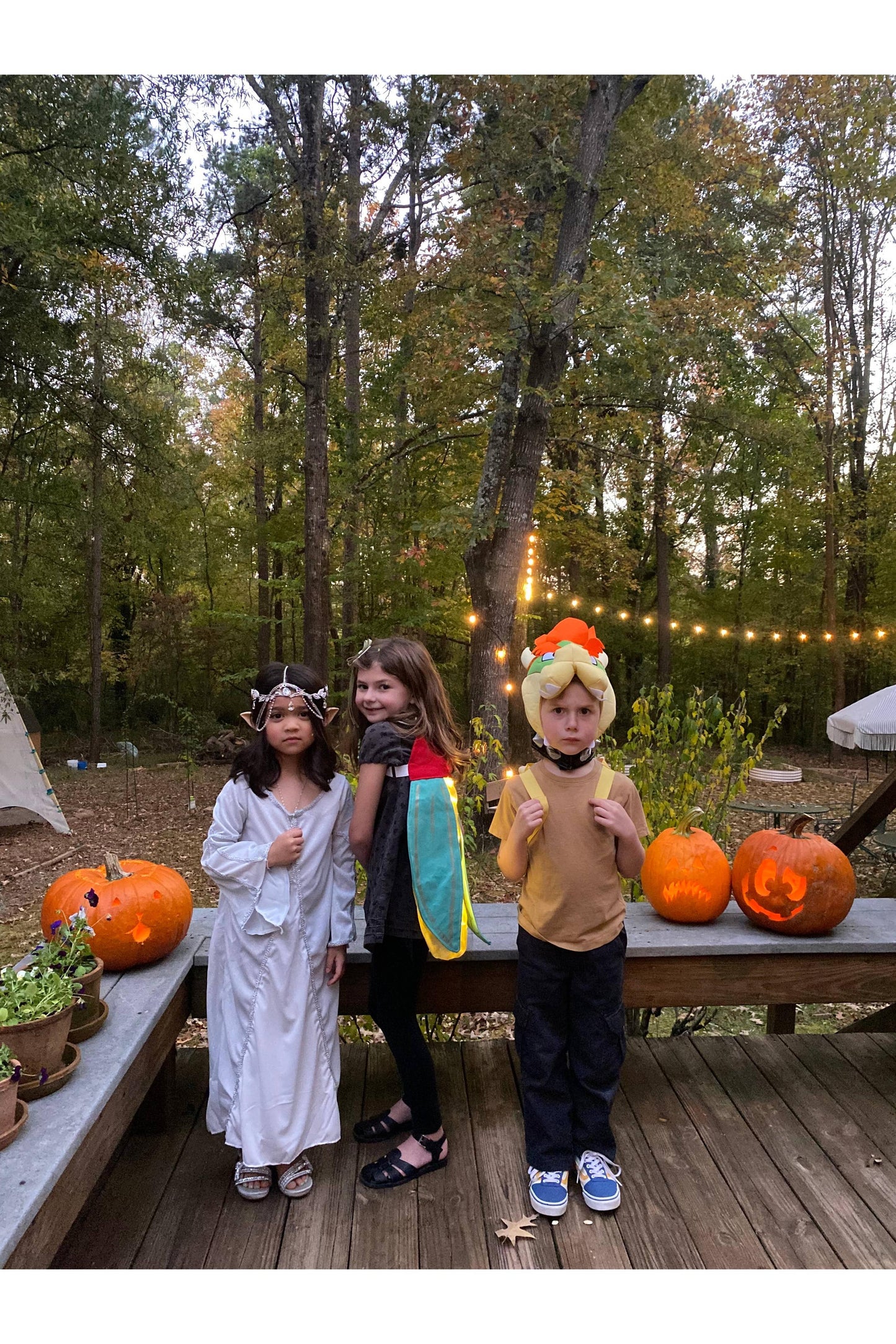 Firefly Costume Wings