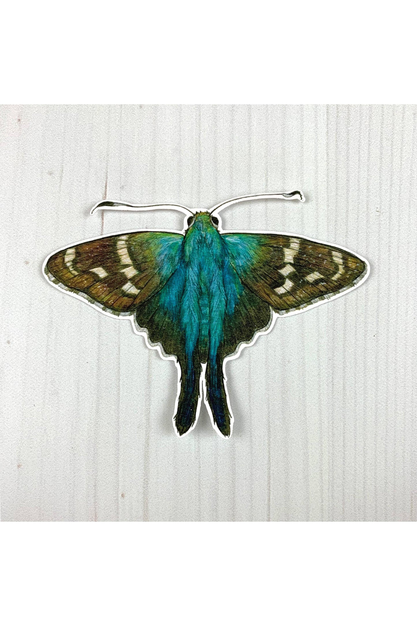 Long Tailed Skipper Butterfly Sticker
