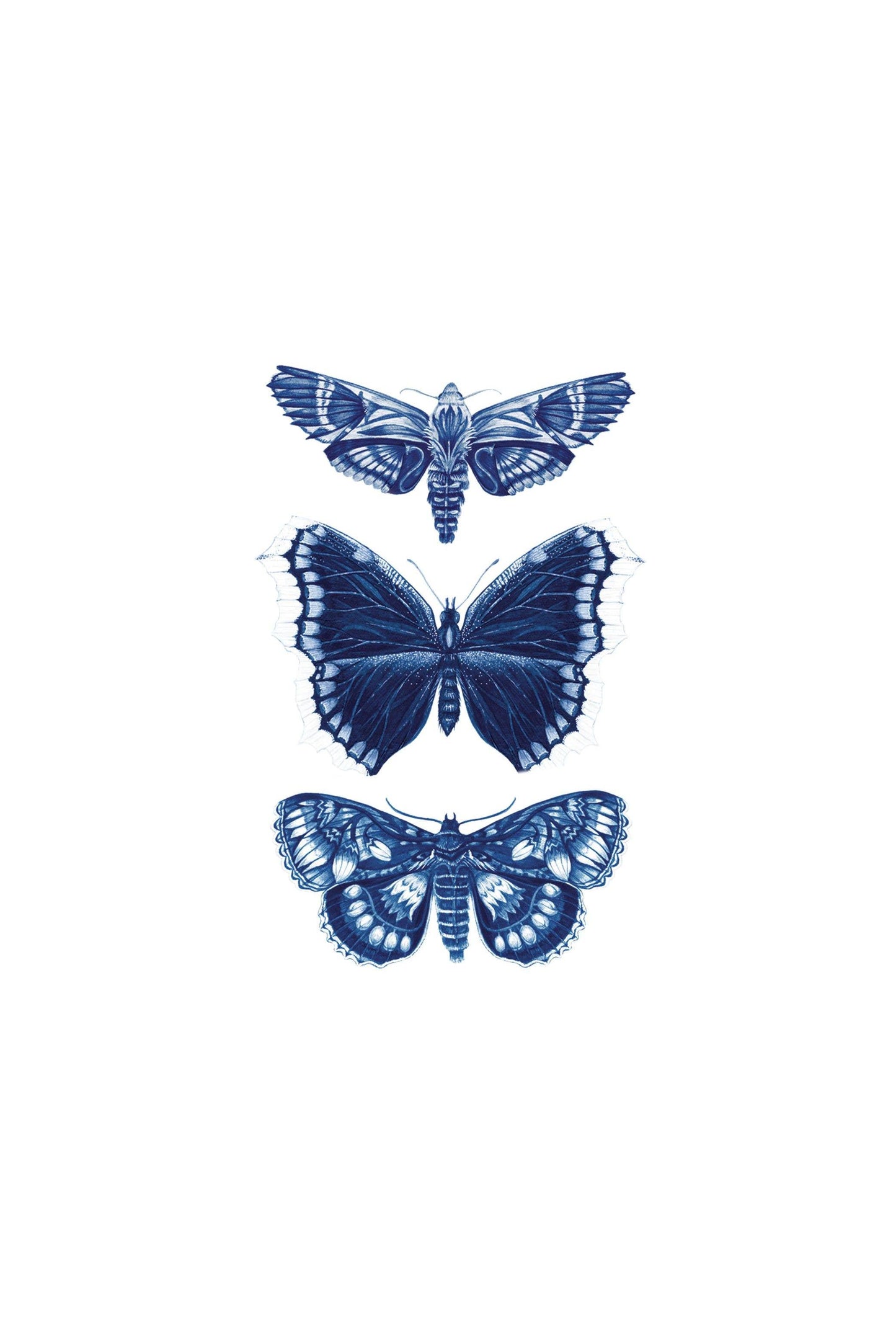 Sapphire Moths Tattoo Pair