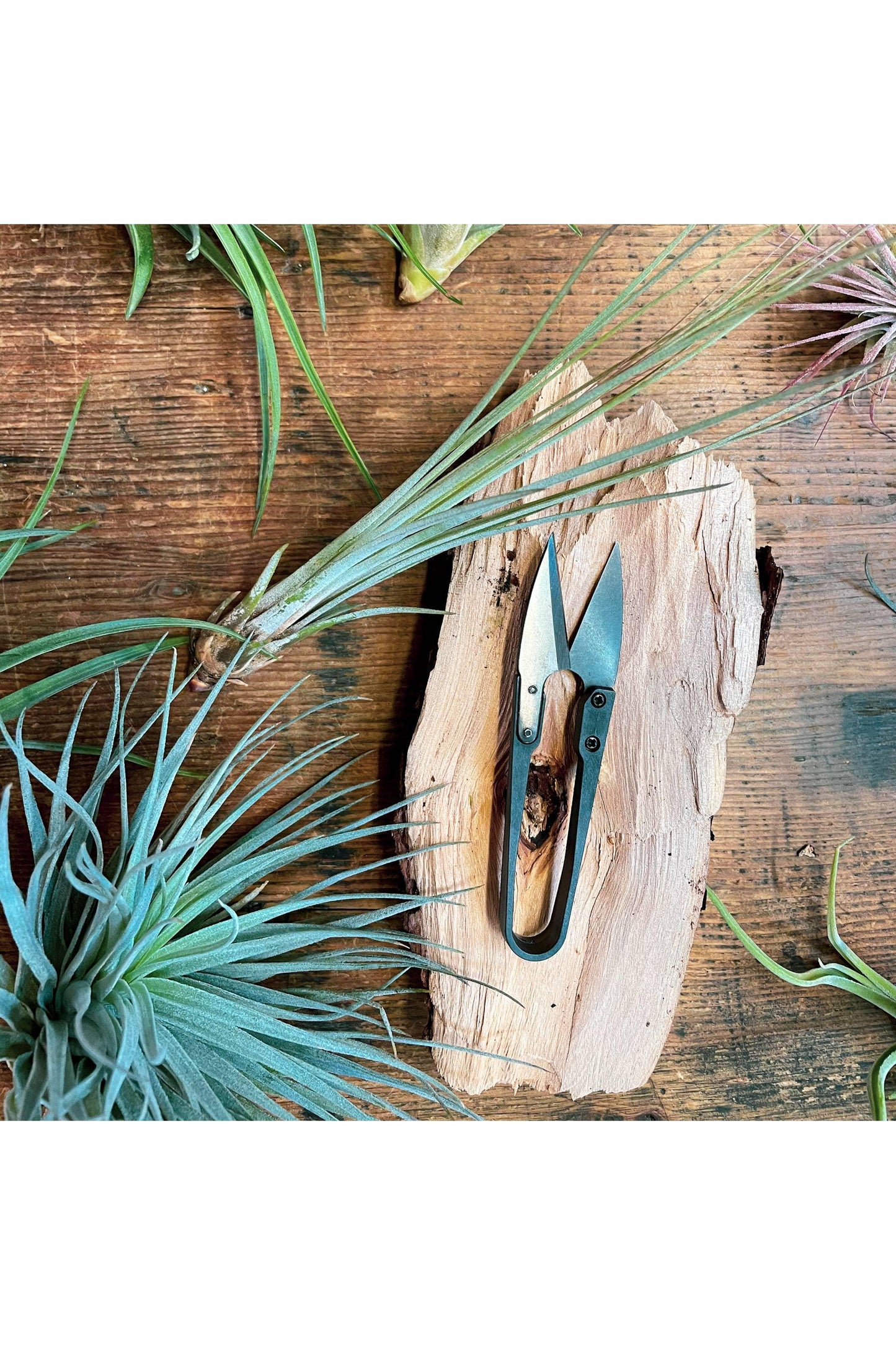 Herb Snips