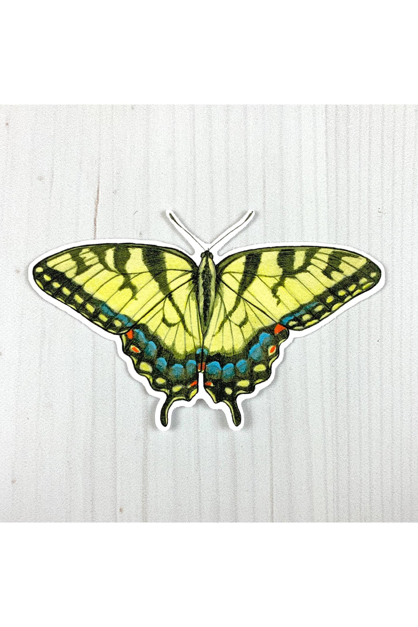 Tiger Swallowtail Butterfly Sticker