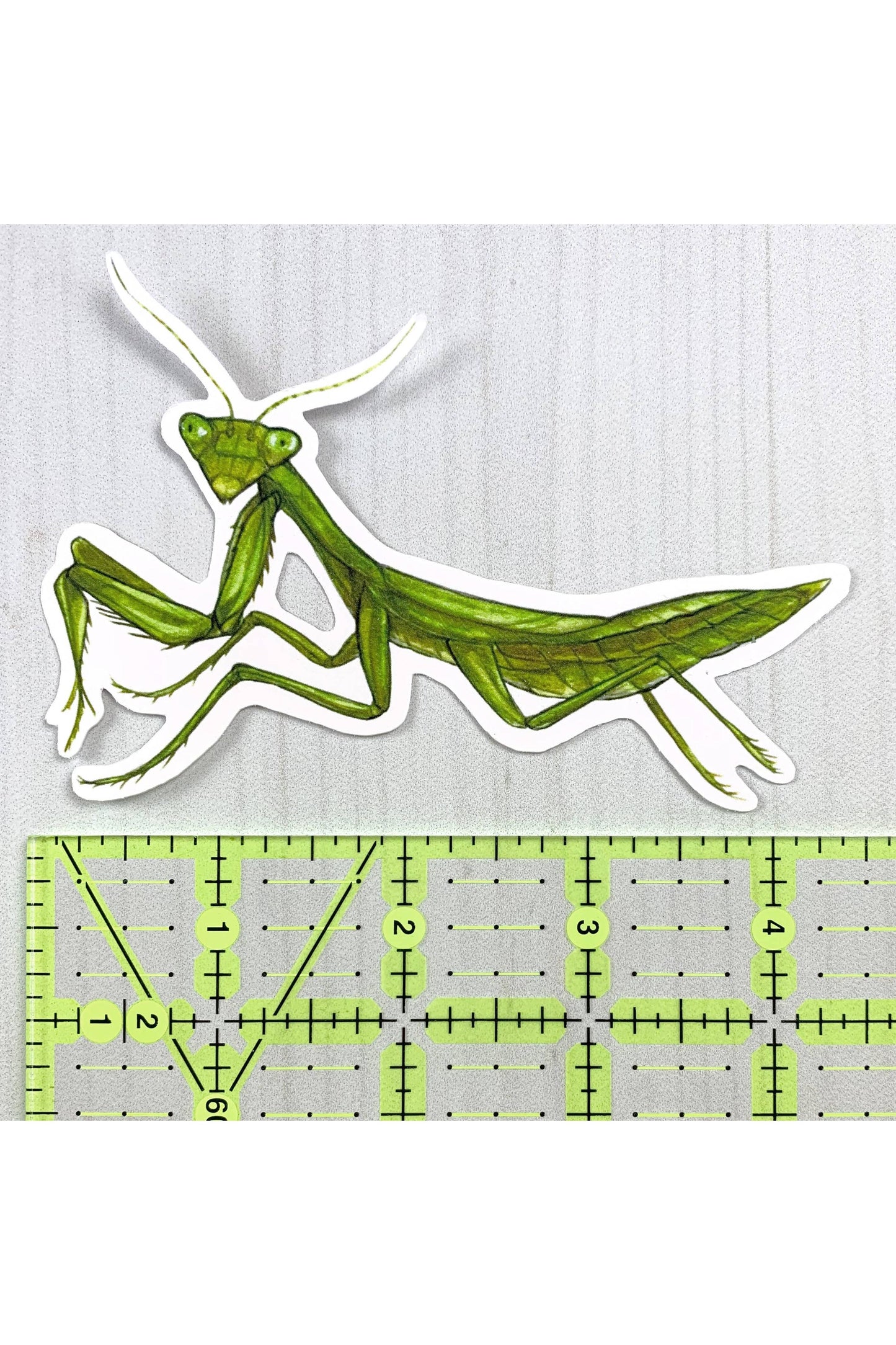 Praying Mantis Matte Sticker