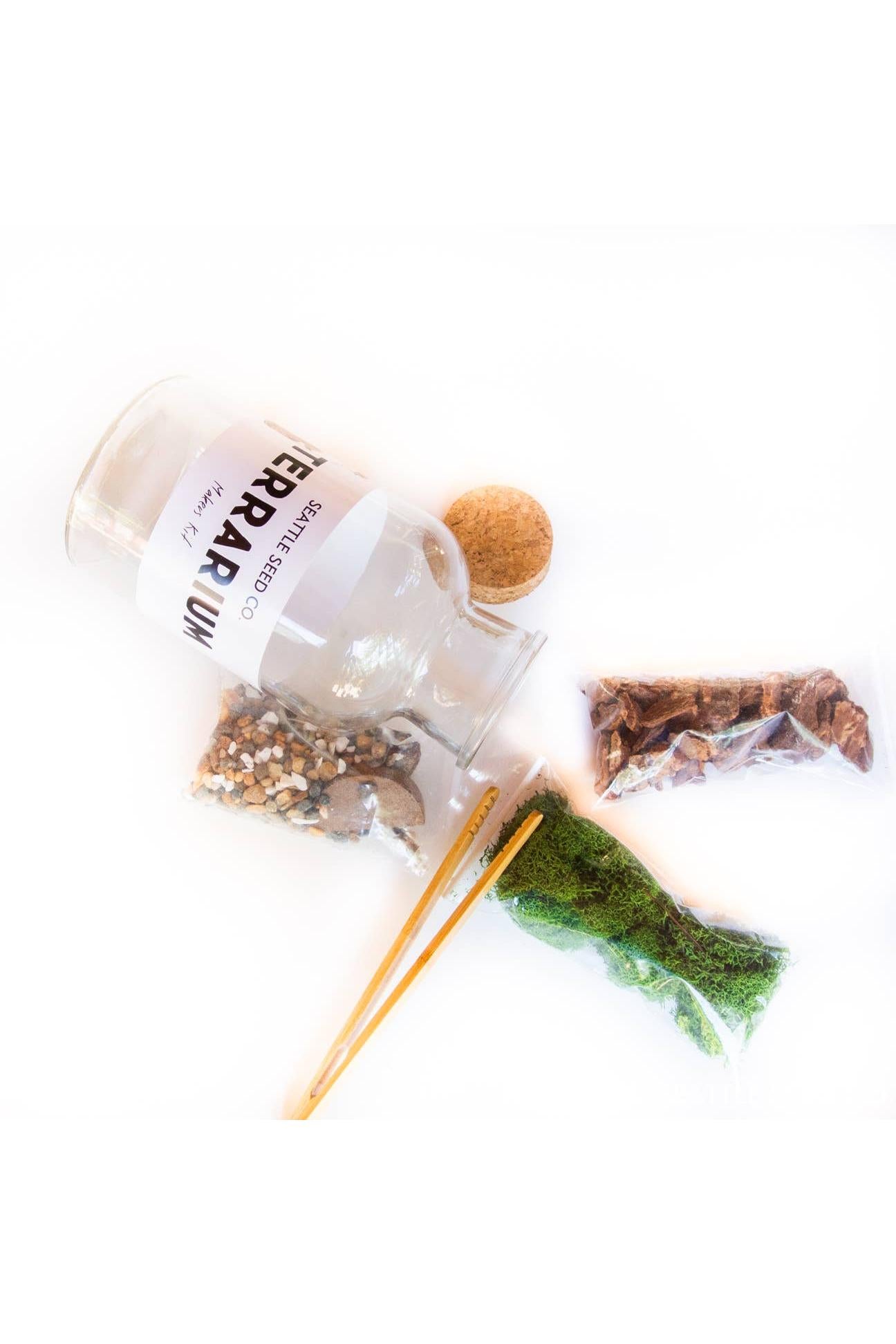 DIY Large Jar Terrarium with Soil and Moss Garden Craft Kit