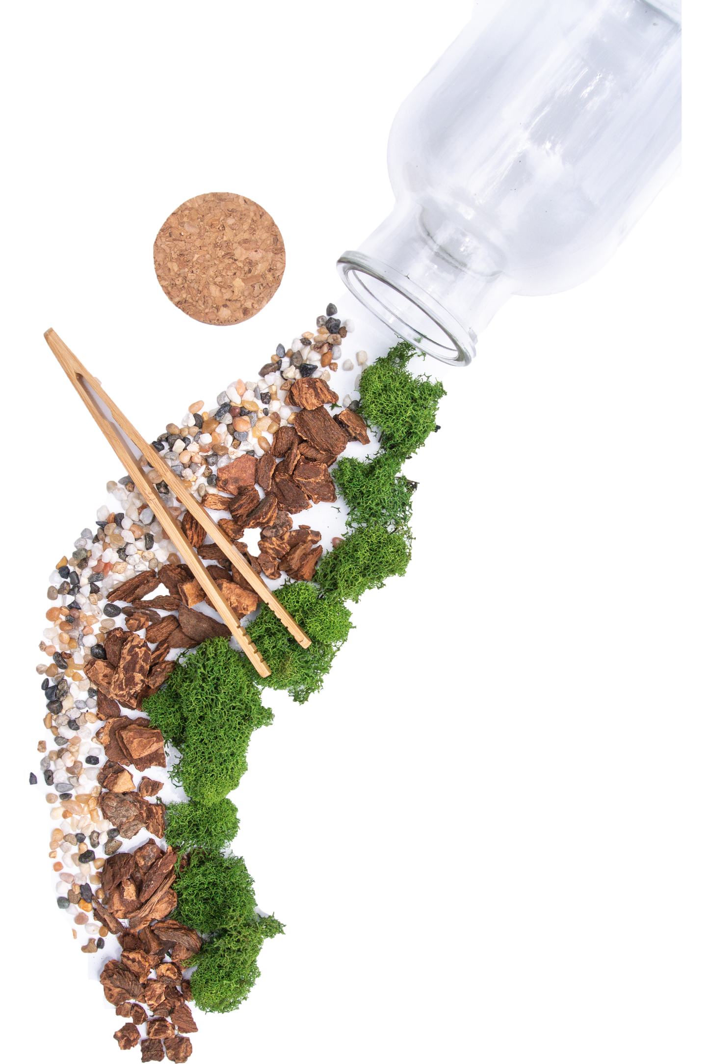 DIY Large Jar Terrarium with Soil and Moss Garden Craft Kit