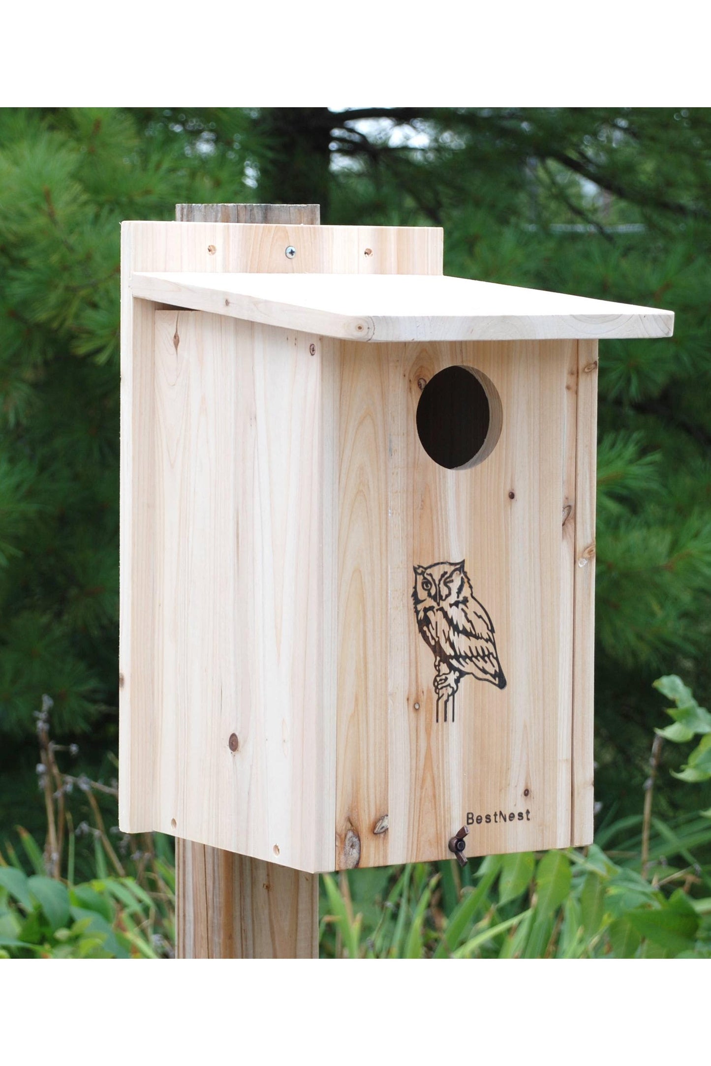 Premium Screech Owl / Kestrel House