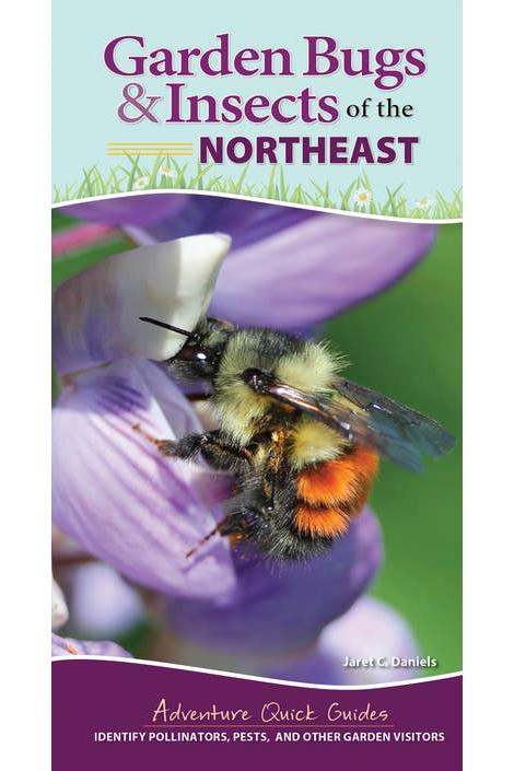 Garden Bugs & Insects of the Northeast