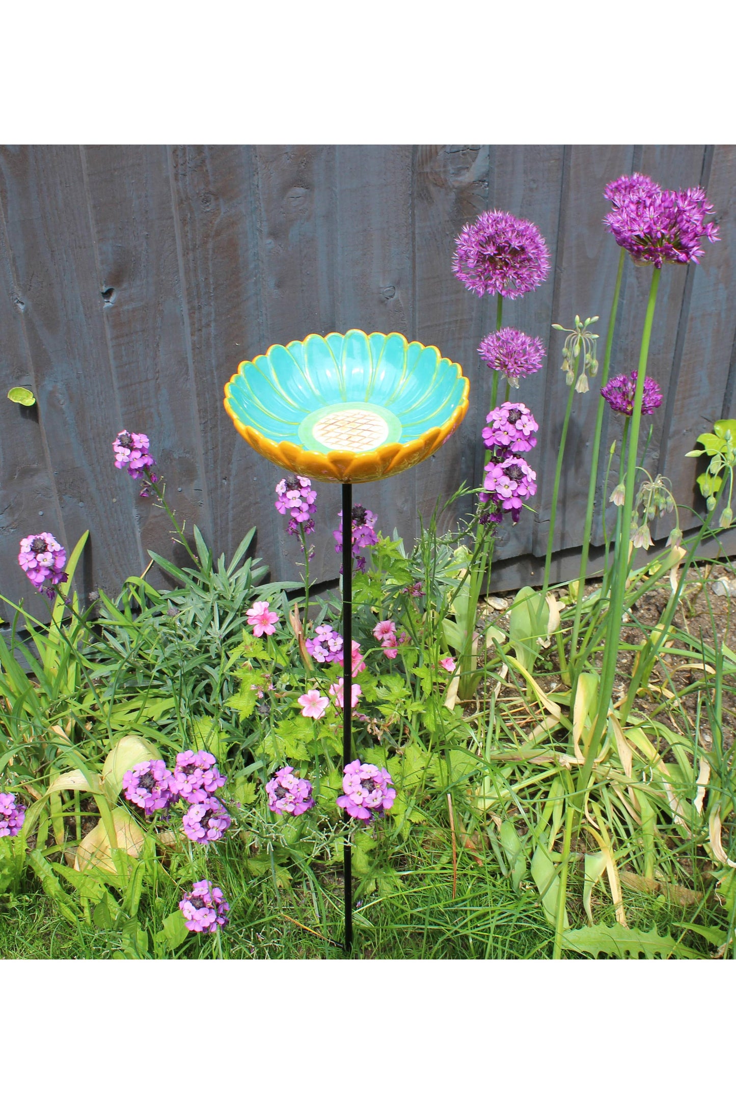 African Daisy Bird Drinker