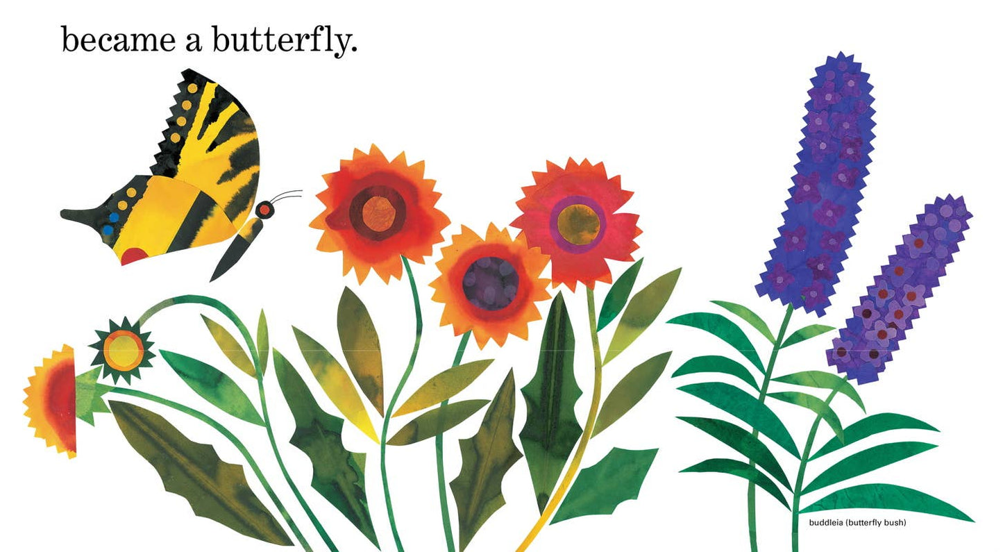 Ten Little Caterpillars by Bill Martin Jr.