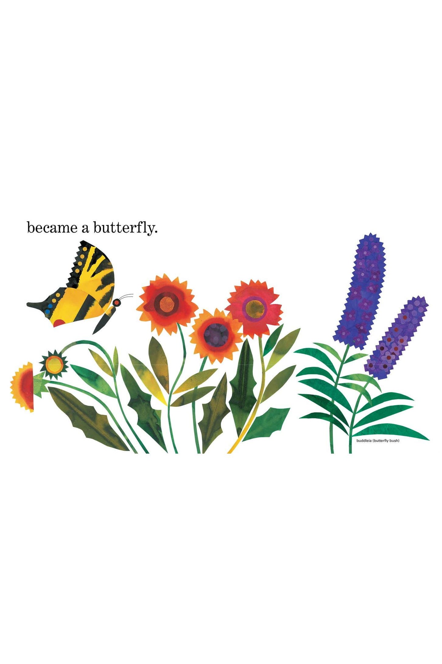 Ten Little Caterpillars by Bill Martin Jr.