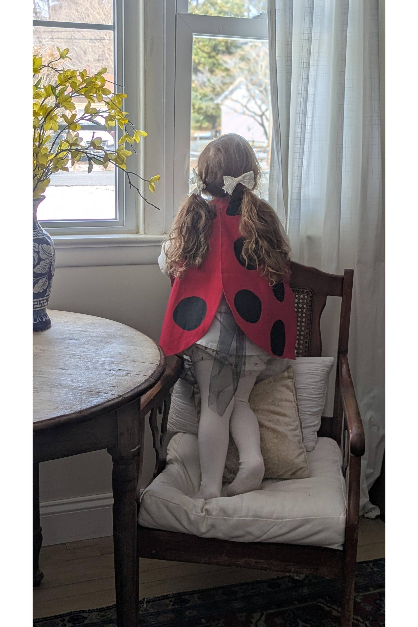 Ladybug Costume Wings