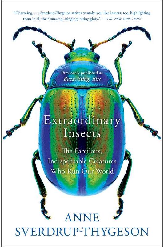 Extraordinary Insects: The Fabulous, Indispensable Creatures Who Run Our World by Anne Sverdrup-Thygeson