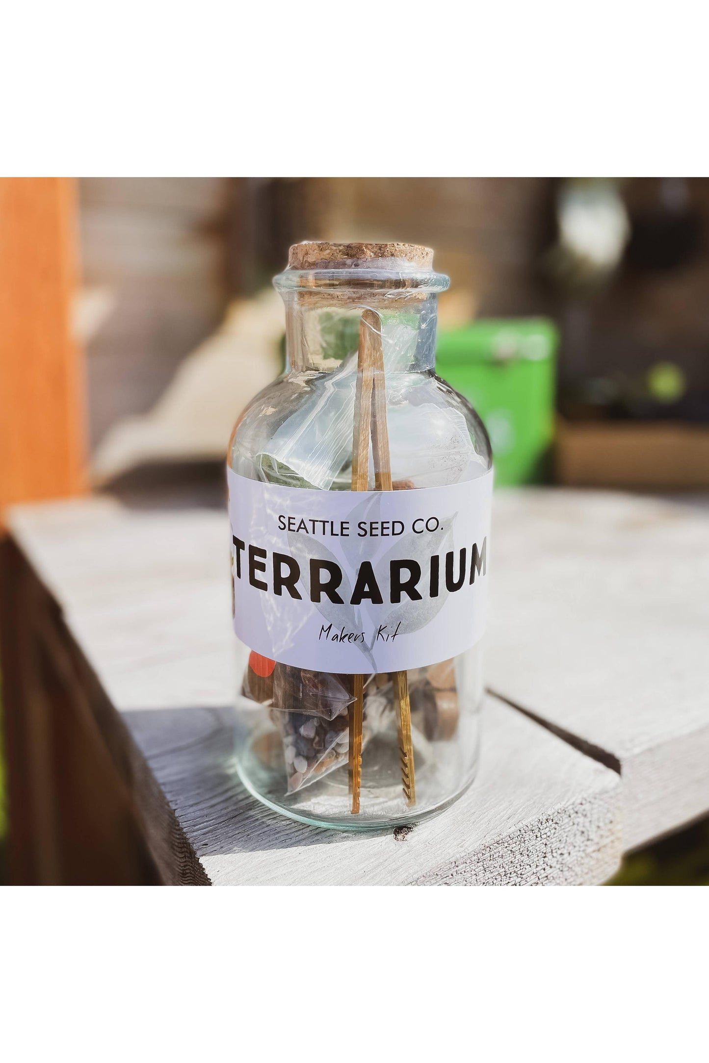 DIY Large Jar Terrarium with Soil and Moss Garden Craft Kit
