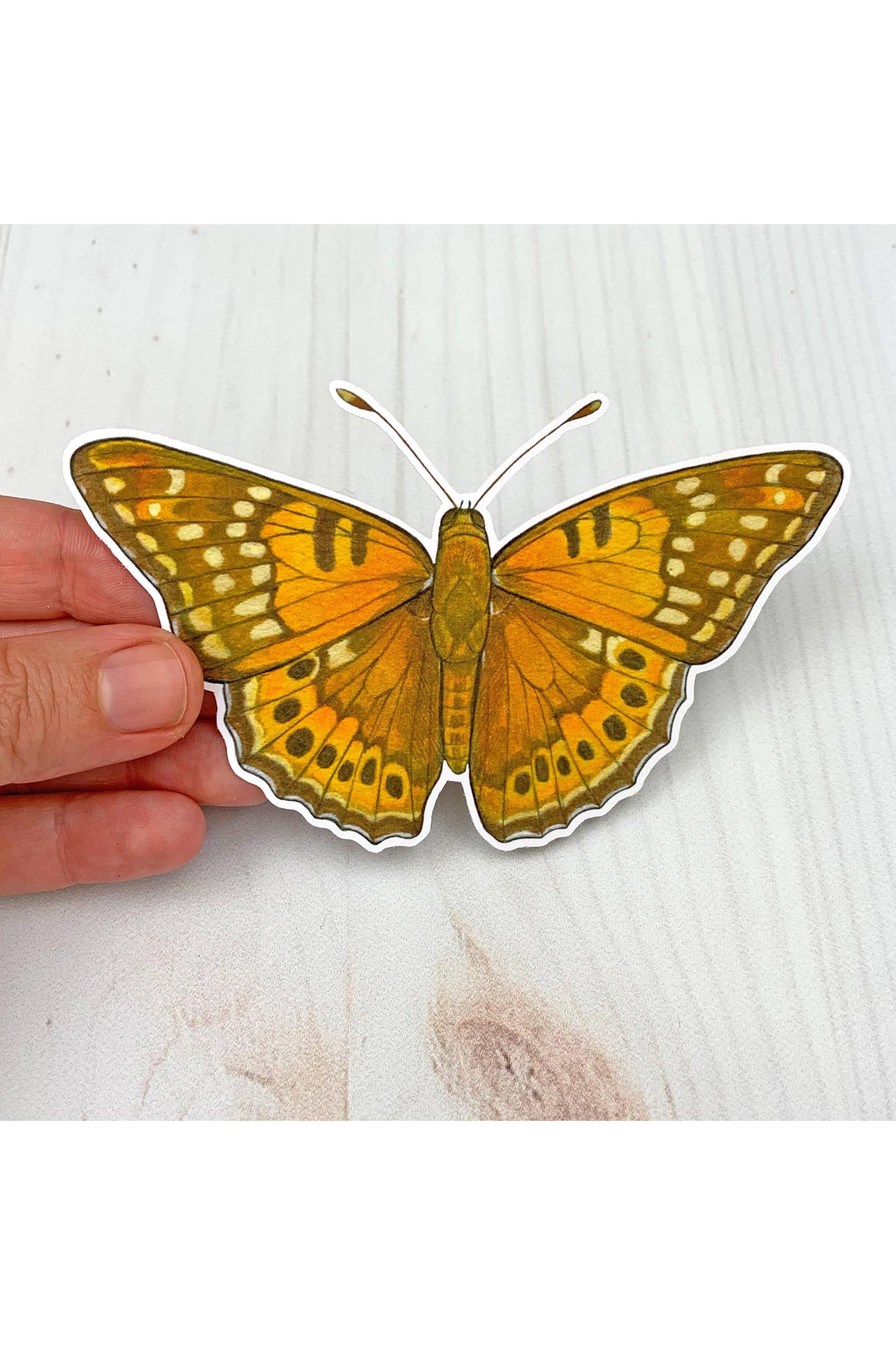 Tawny Emperor Butterfly Sticker