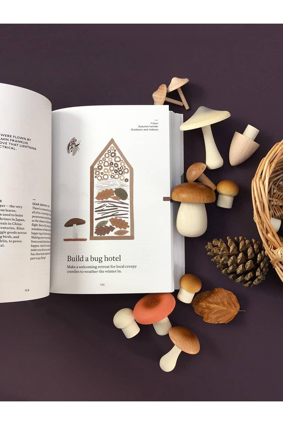 The Nature of Play: A Handbook of Nature-Based Activities for all Seasons