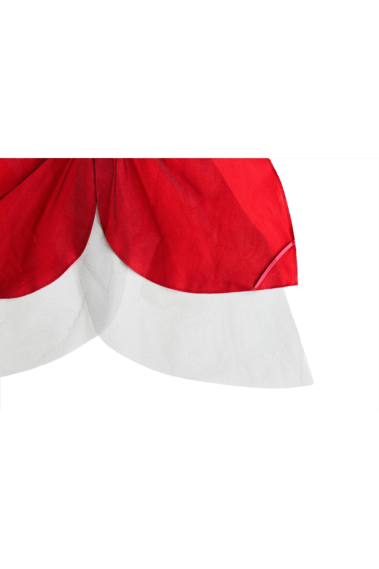 Ladybug Costume Wings