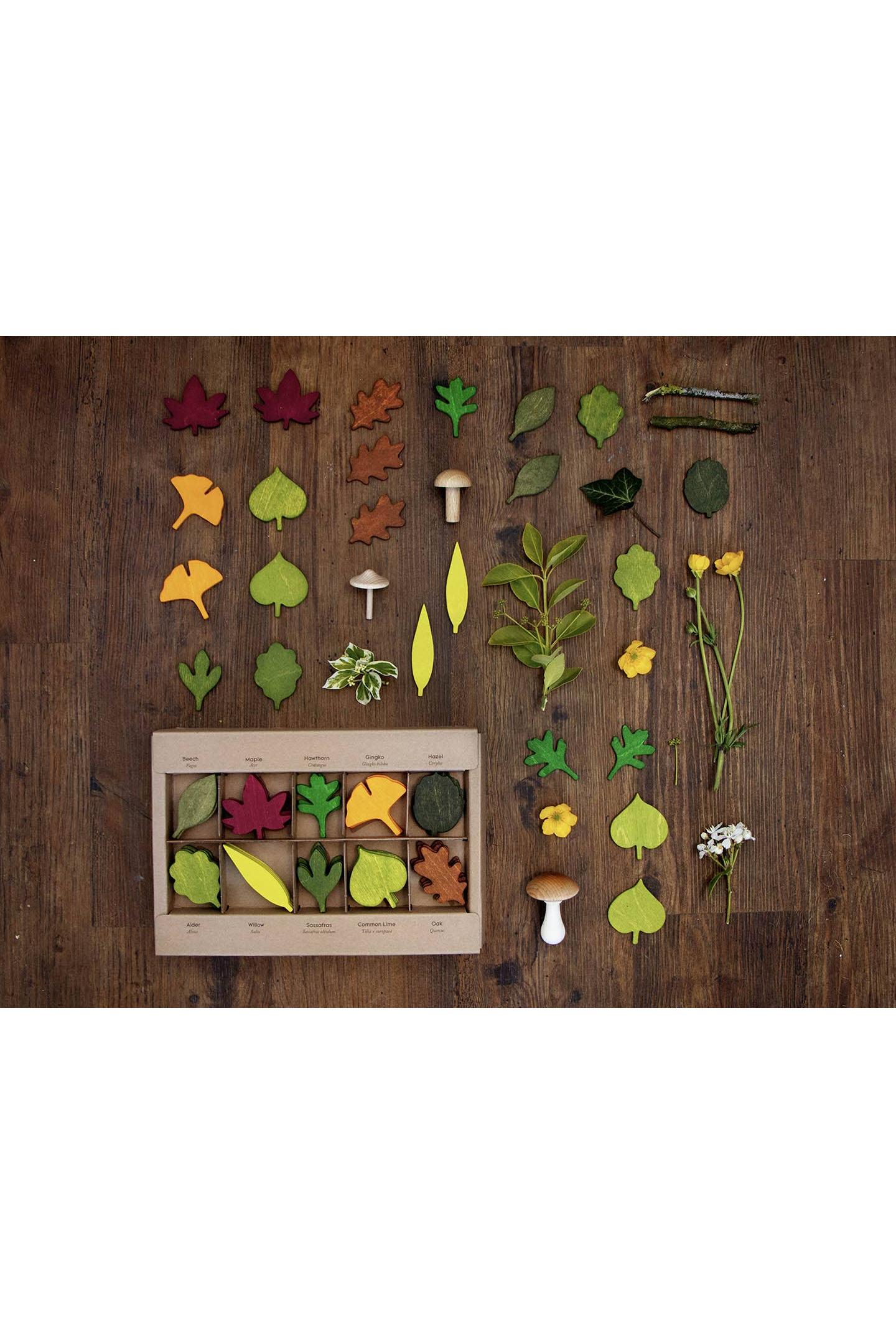Wooden Leaves Toy Set