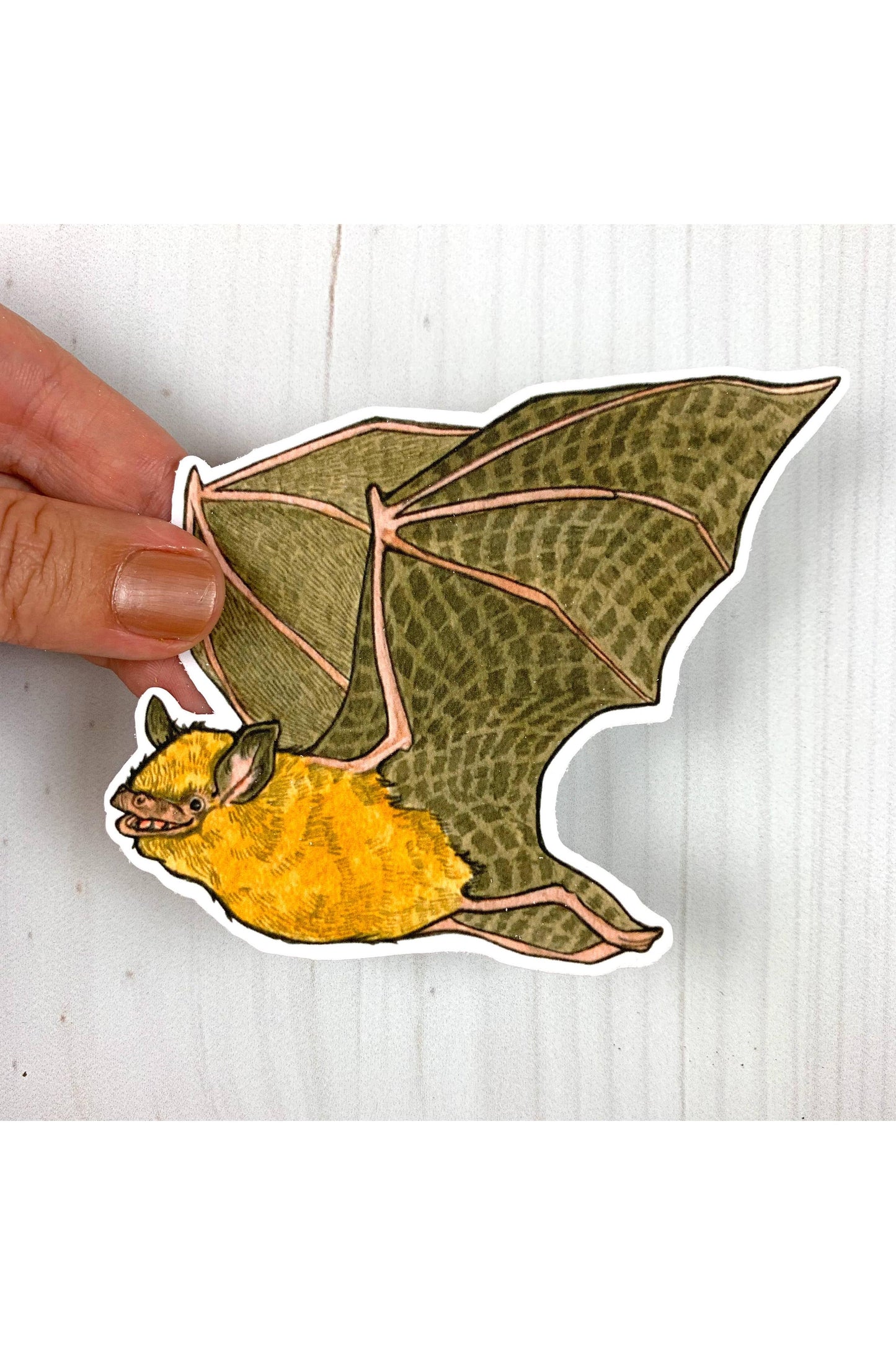 Tricolored Bat Sticker
