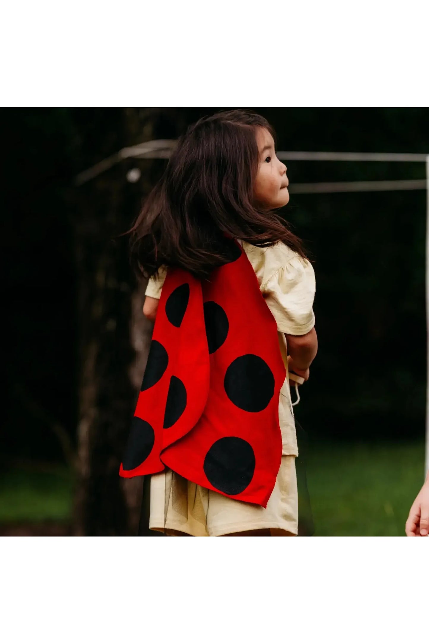 Ladybug Costume Wings