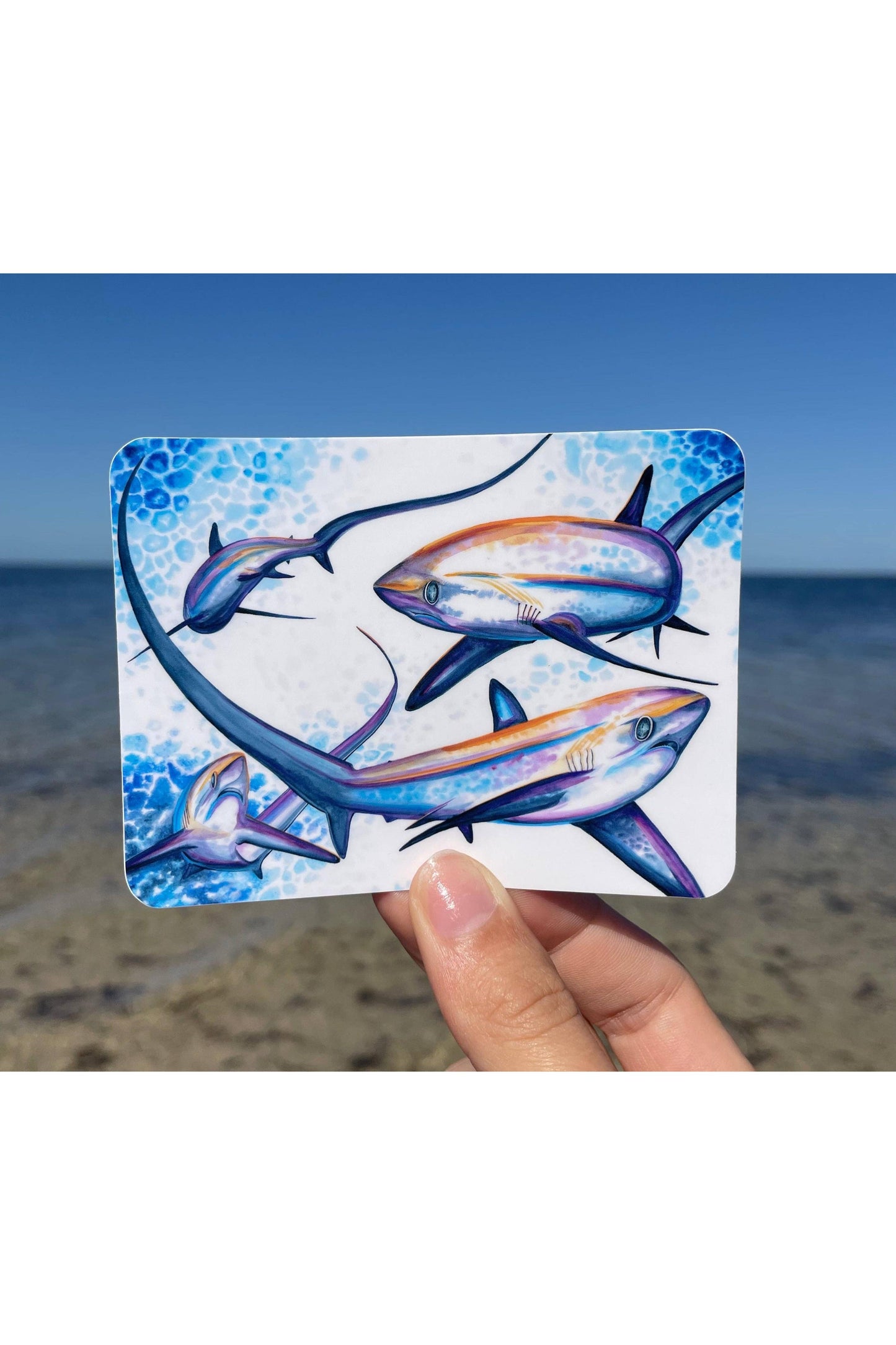 Thresher Sharks Waterproof Sticker