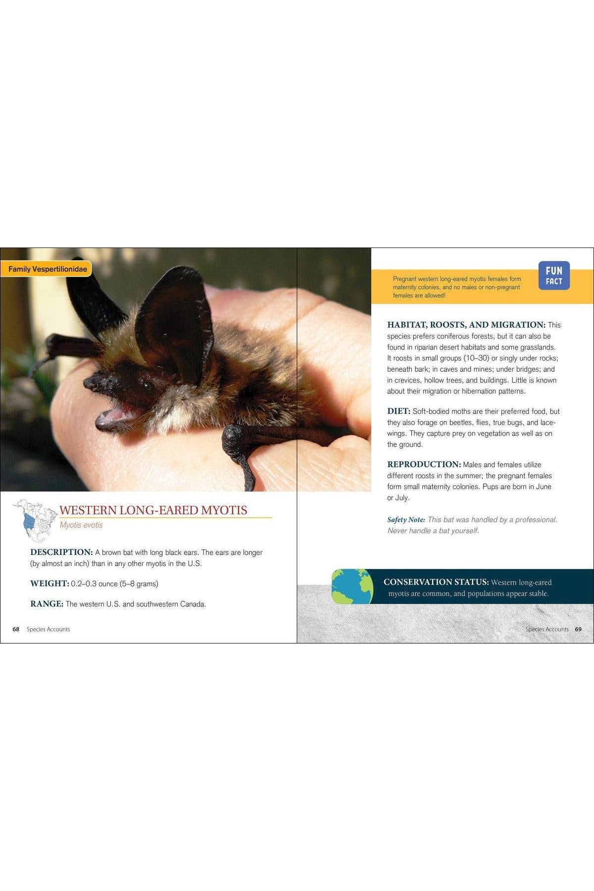 Bat Basics: How to Understand and Help These Amazing Flying Mammals by Karen Krebbs