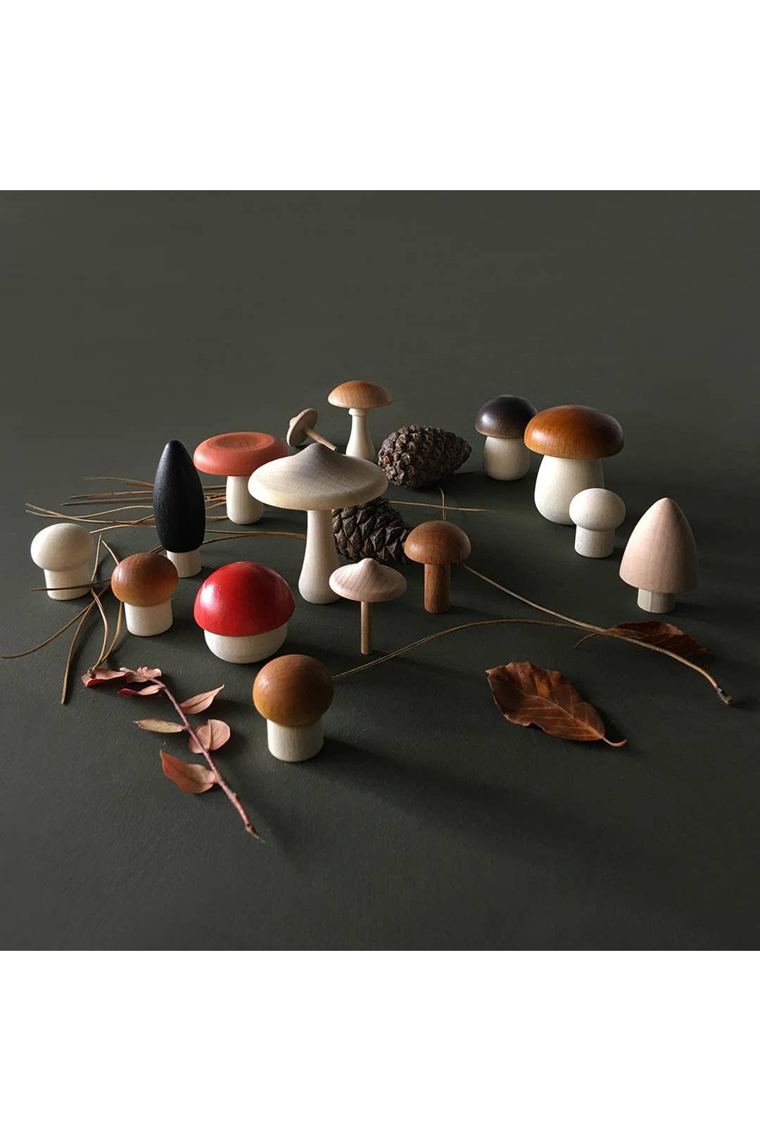 Forest Mushrooms Basket