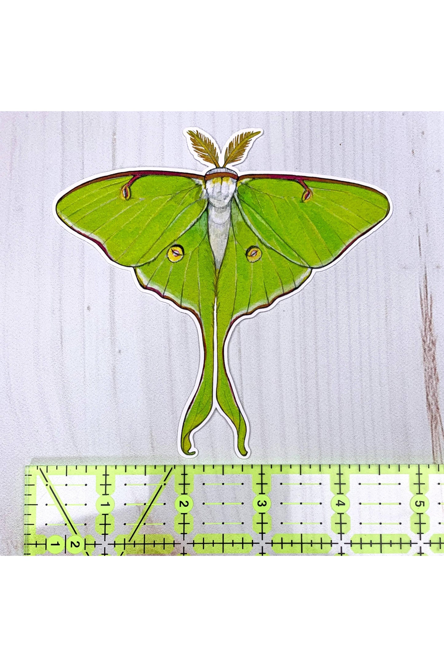 Luna Moth Matte Sticker