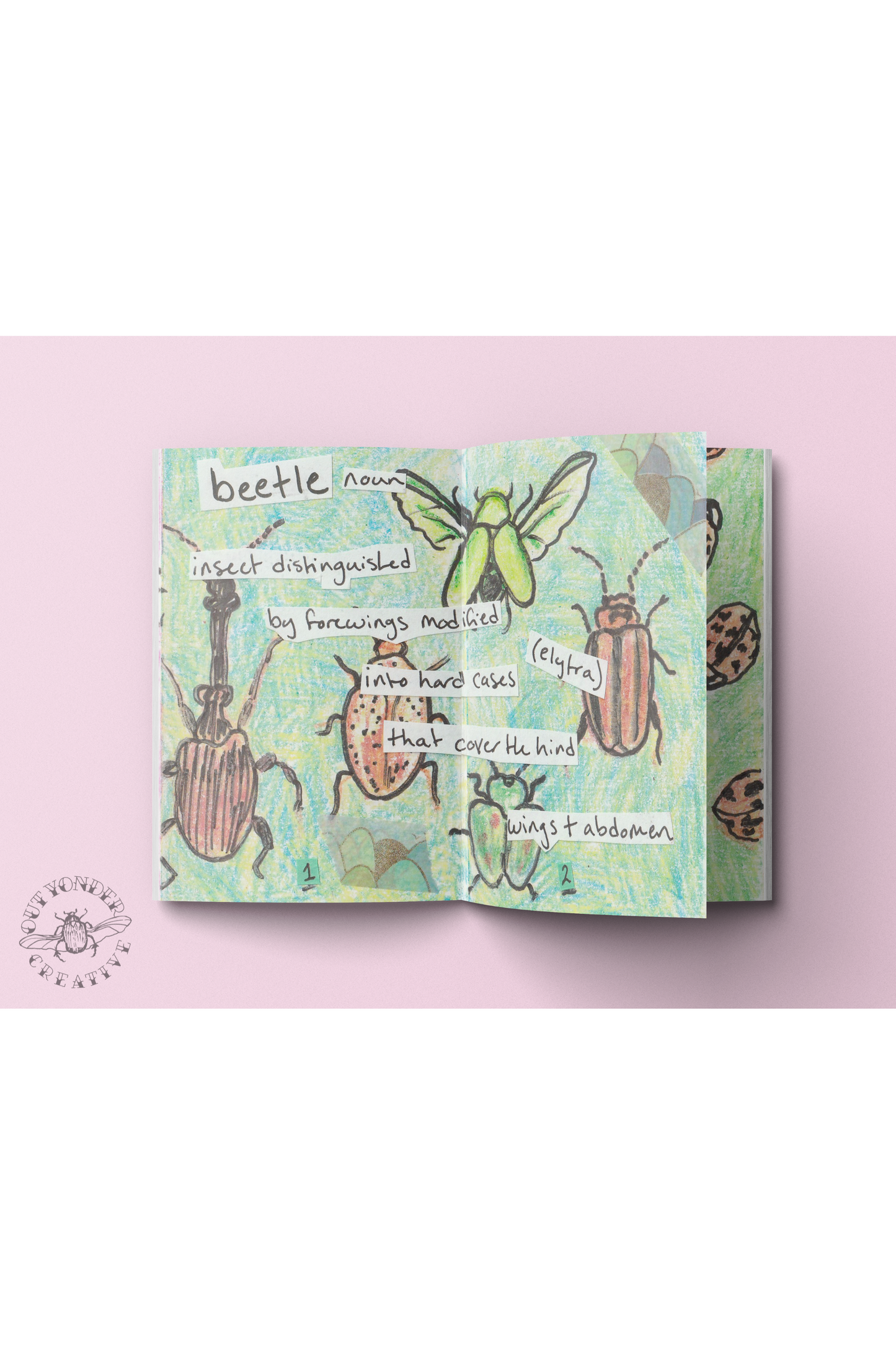 Beetles (Zine)