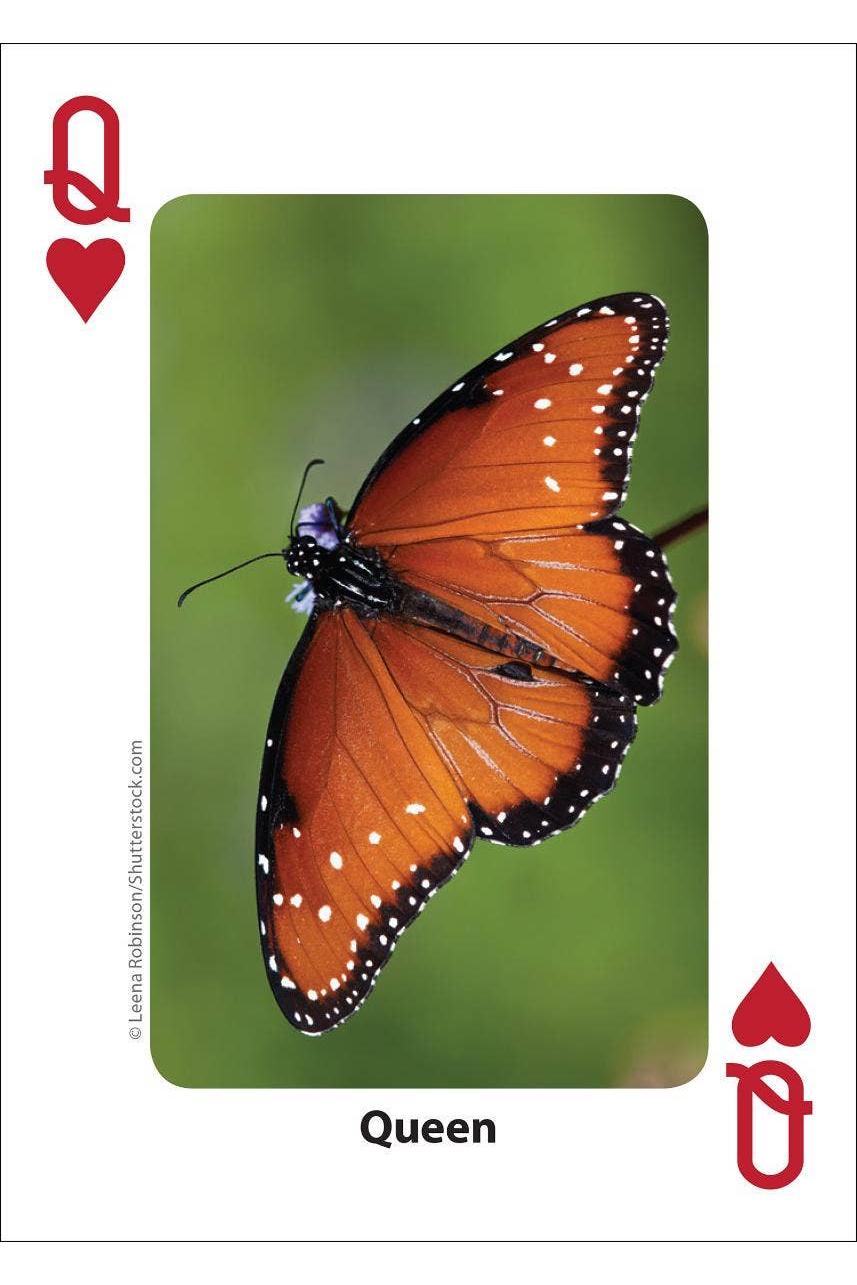 Bees & Butterflies Playing Cards
