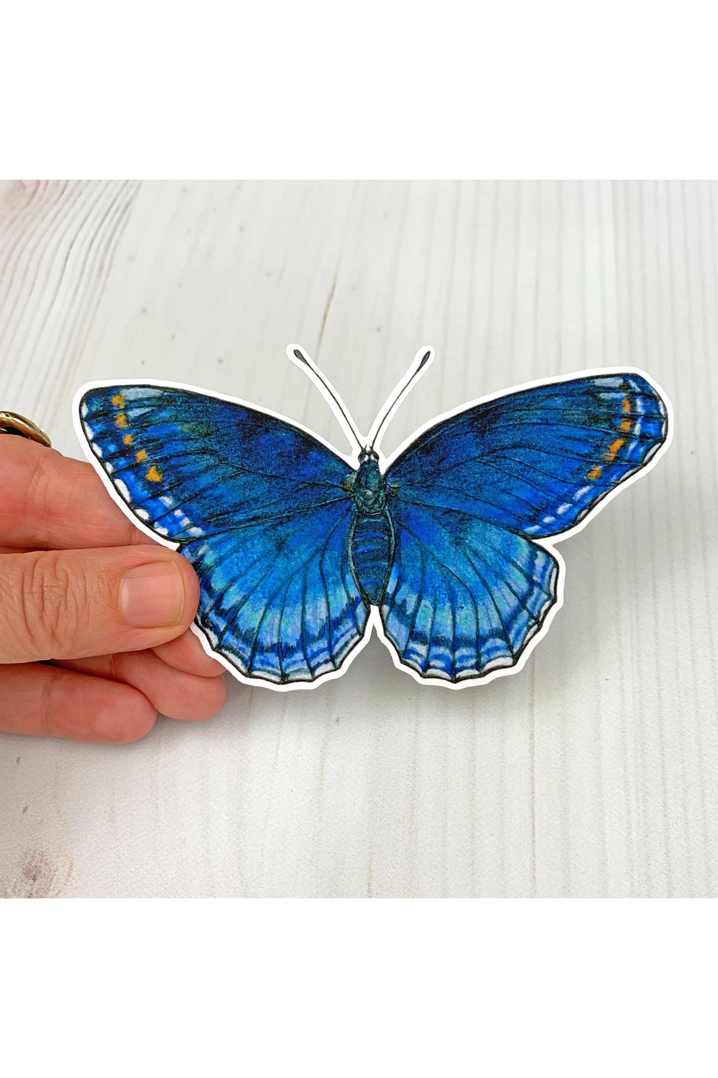 Red Spotted Purple Butterfly Sticker