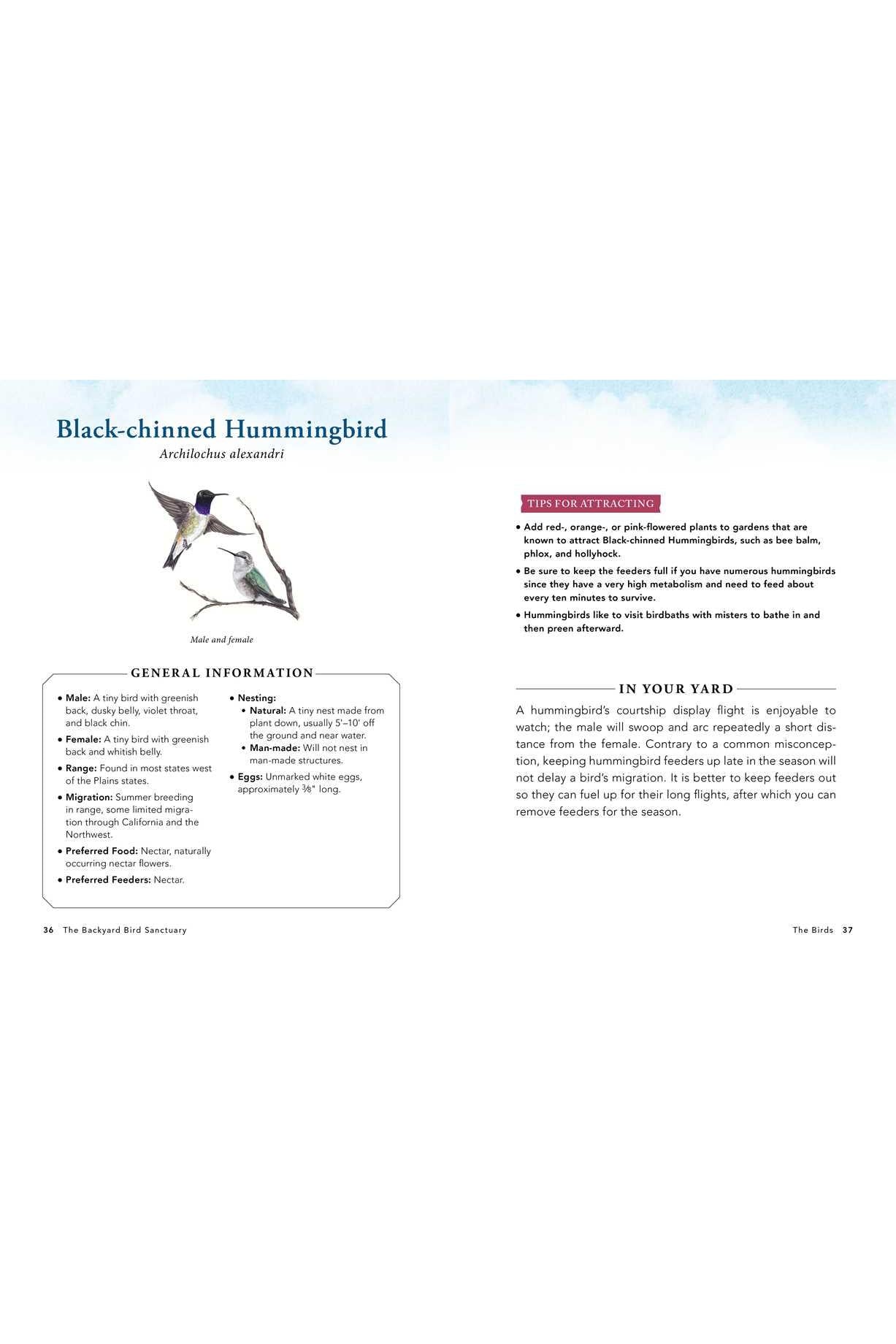 The Backyard Bird Sanctuary: A Beginner's Guide to Creating a Wild Bird Habitat at Home by Alan Baczkiewicz