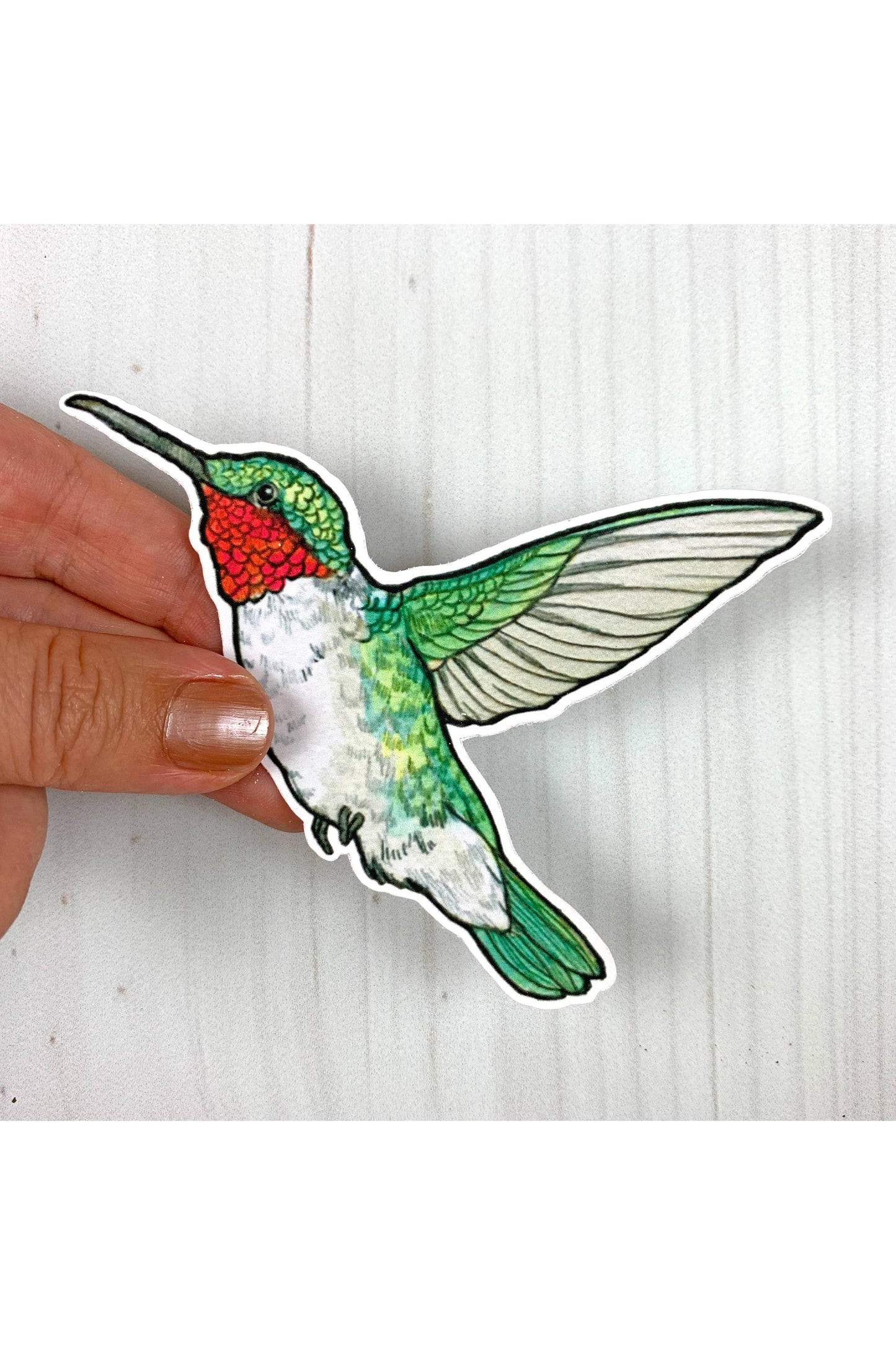 Ruby Throated Hummingbird Sticker