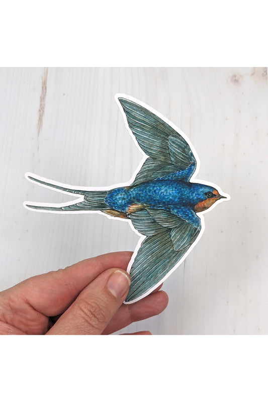 Barn Swallow Sticker