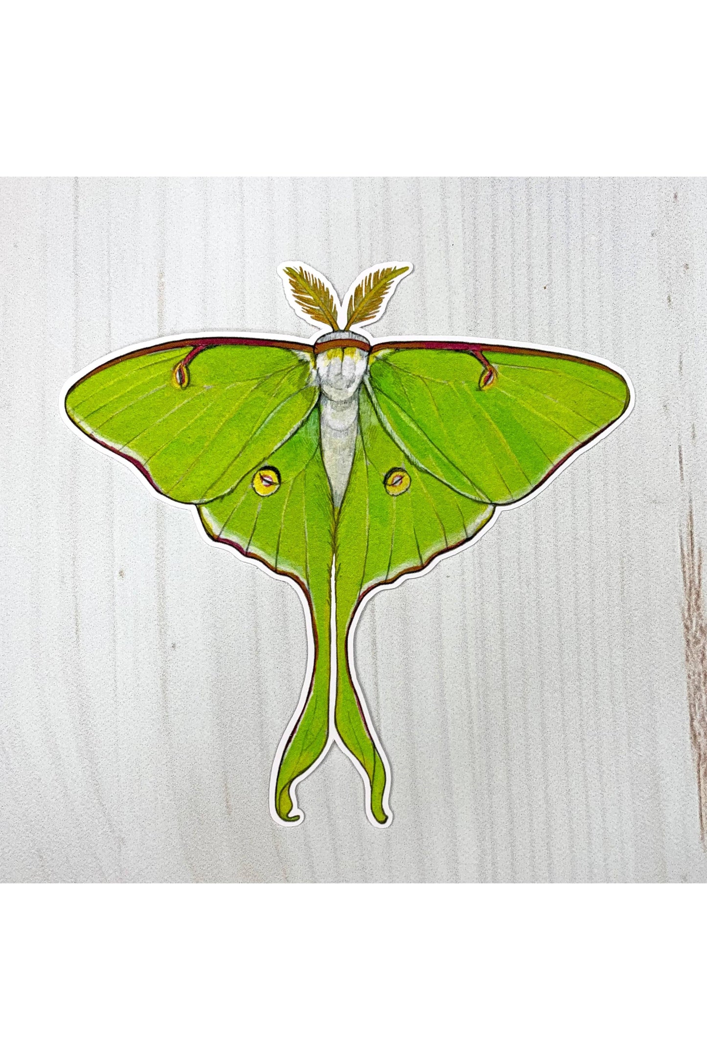 Luna Moth Matte Sticker