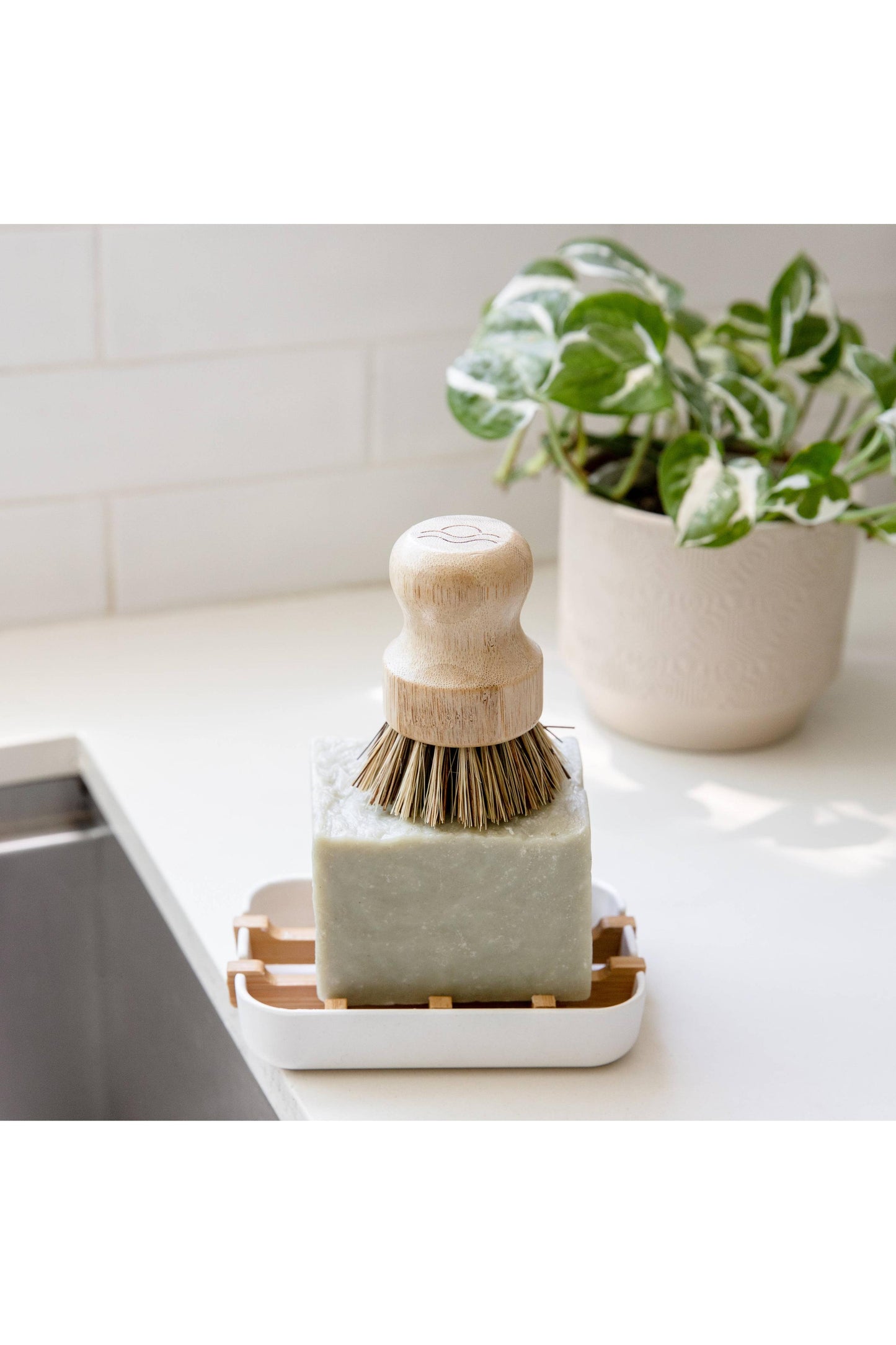 Biodegradable Soap Dish Tray - White