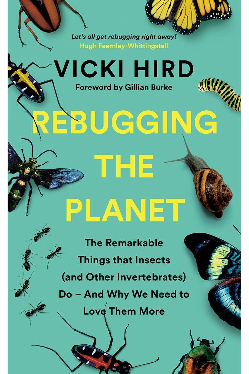 Rebugging the Planet: Why We Need to Love Insects More
