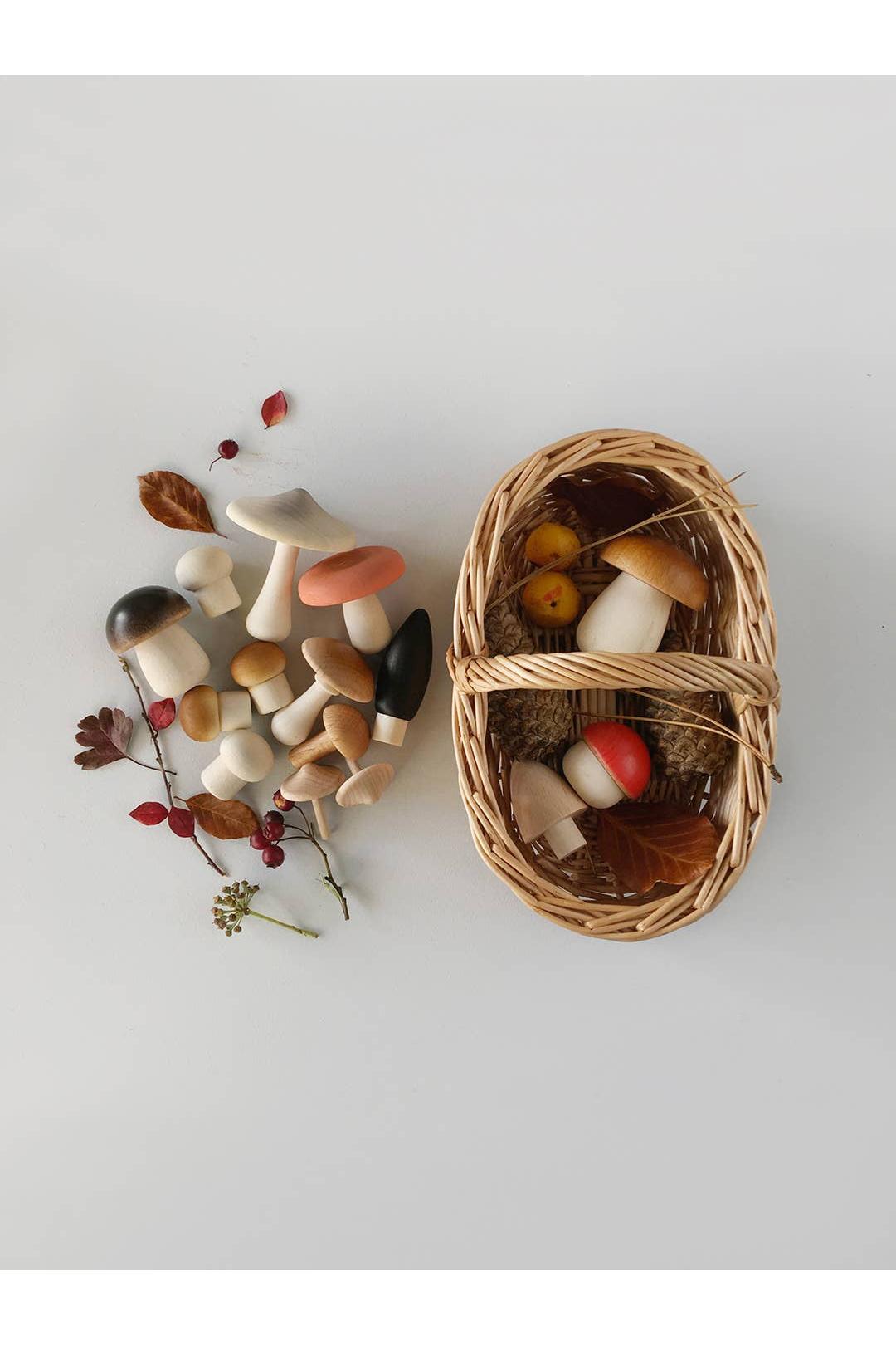 Forest Mushrooms Basket