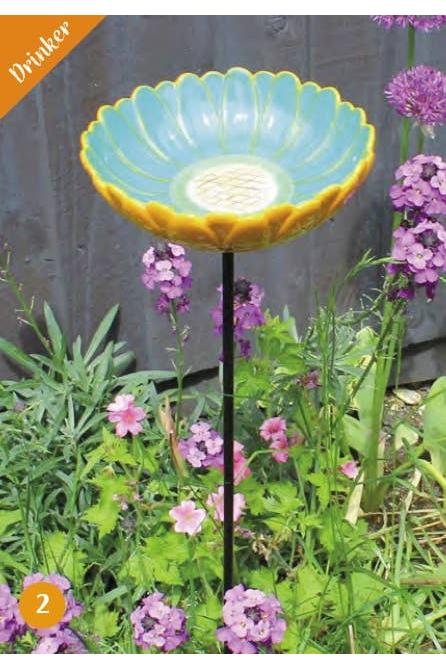 African Daisy Bird Drinker