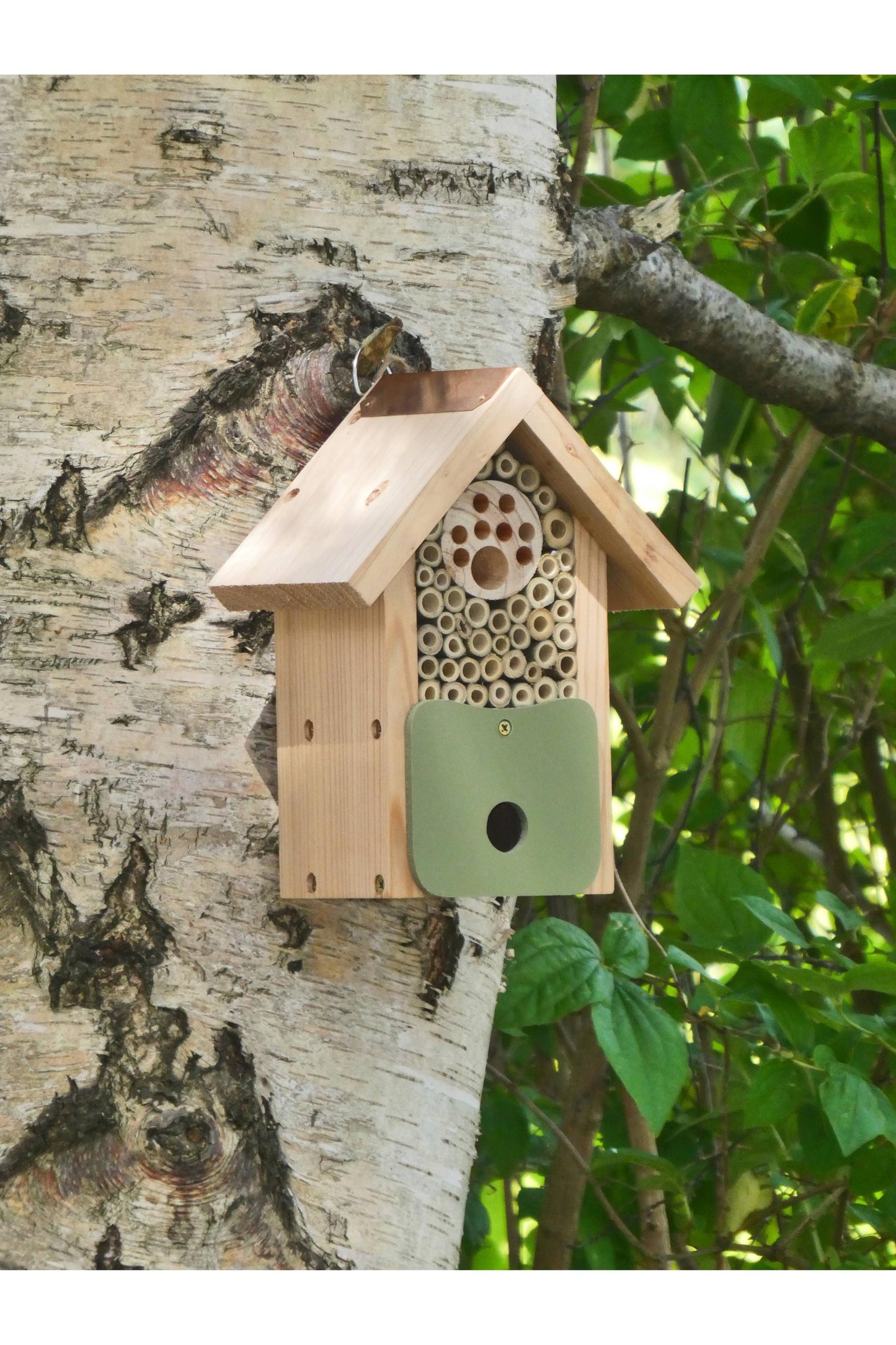 Bee Barn for Solitary Bees