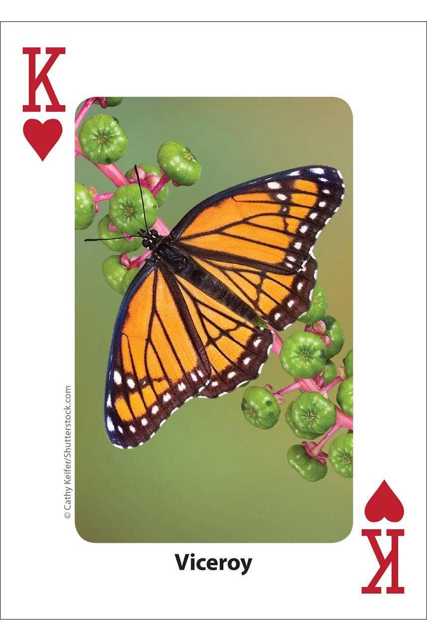 Bees & Butterflies Playing Cards