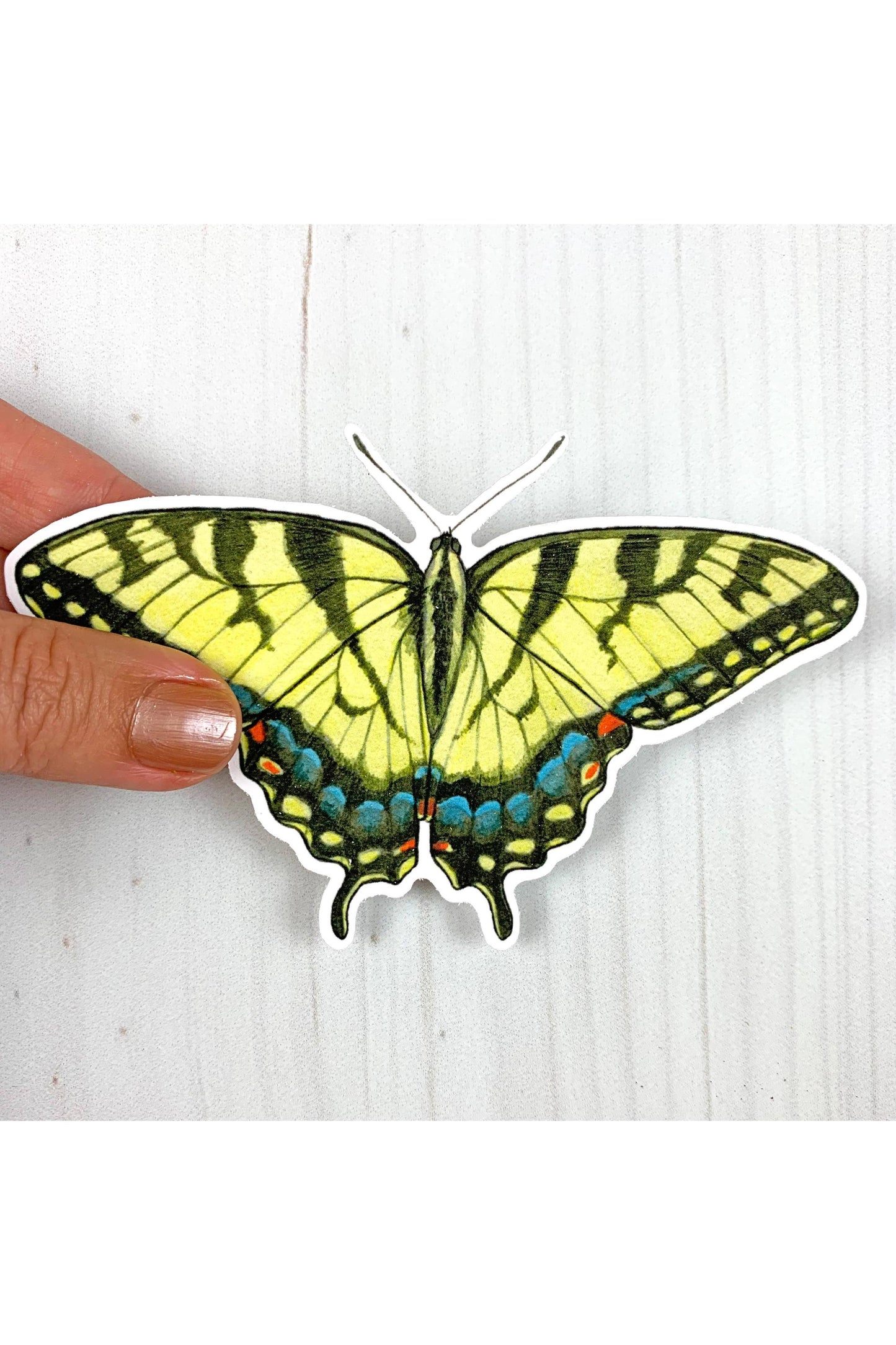 Tiger Swallowtail Butterfly Sticker