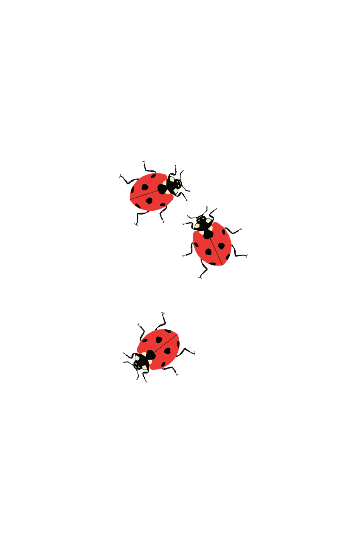 Ladybugs Tattoo Pair
