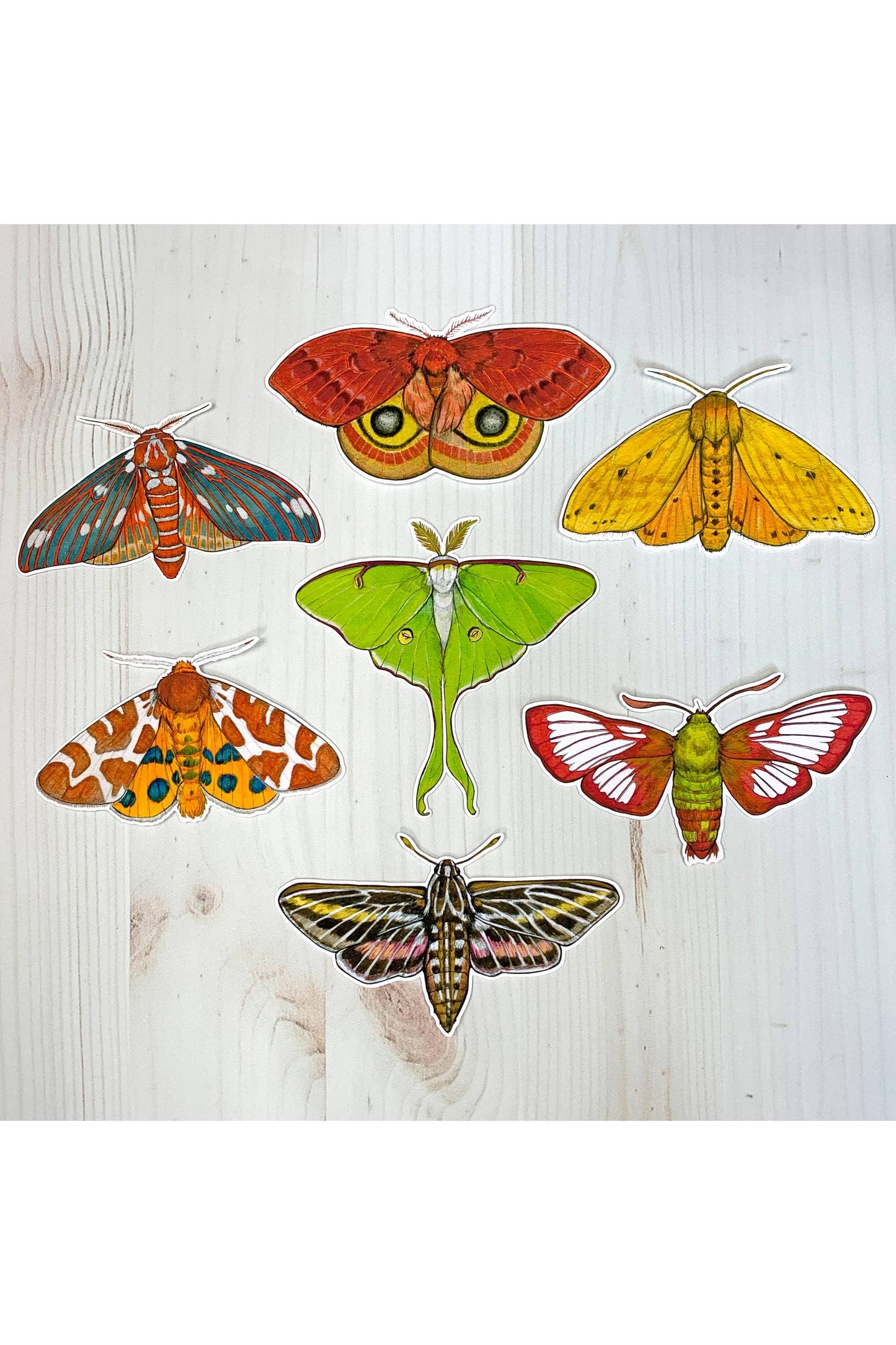 Luna Moth Matte Sticker