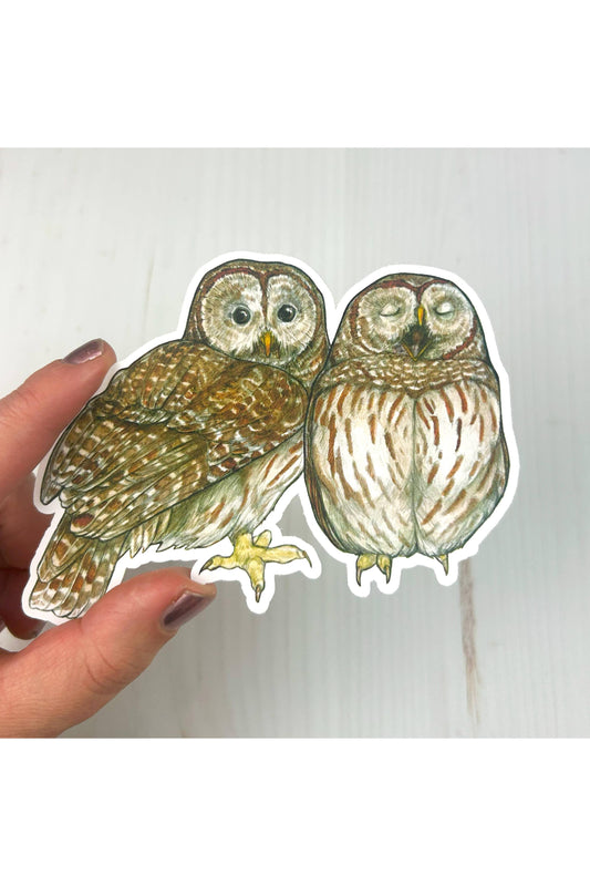 Barred Owls Sticker