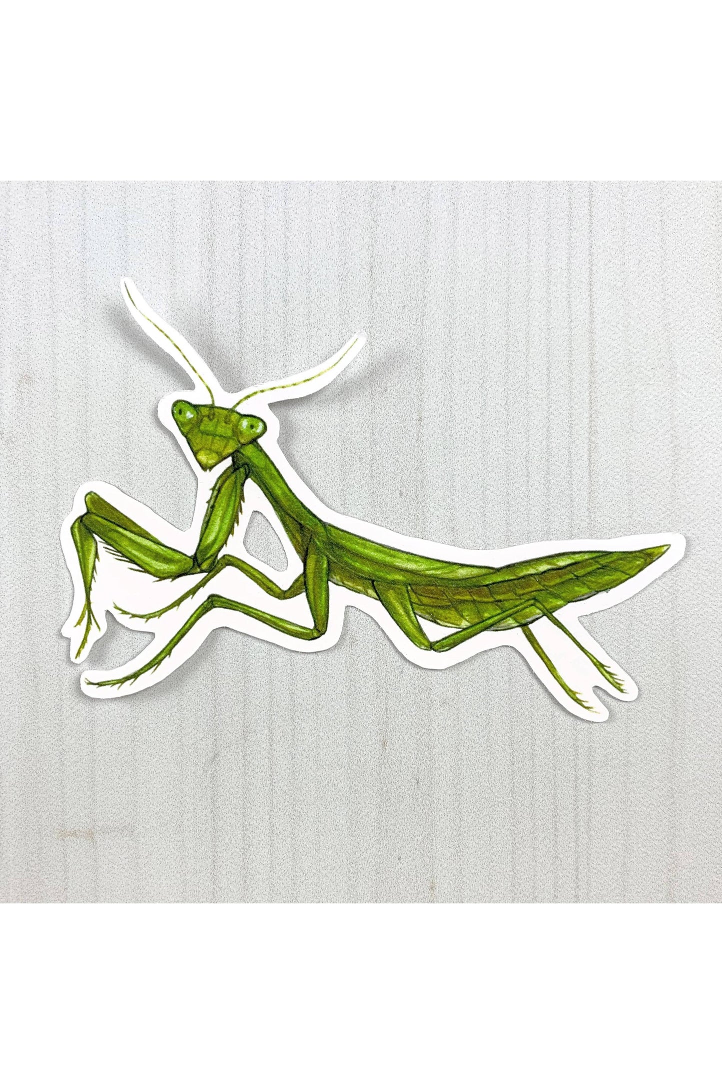Praying Mantis Matte Sticker