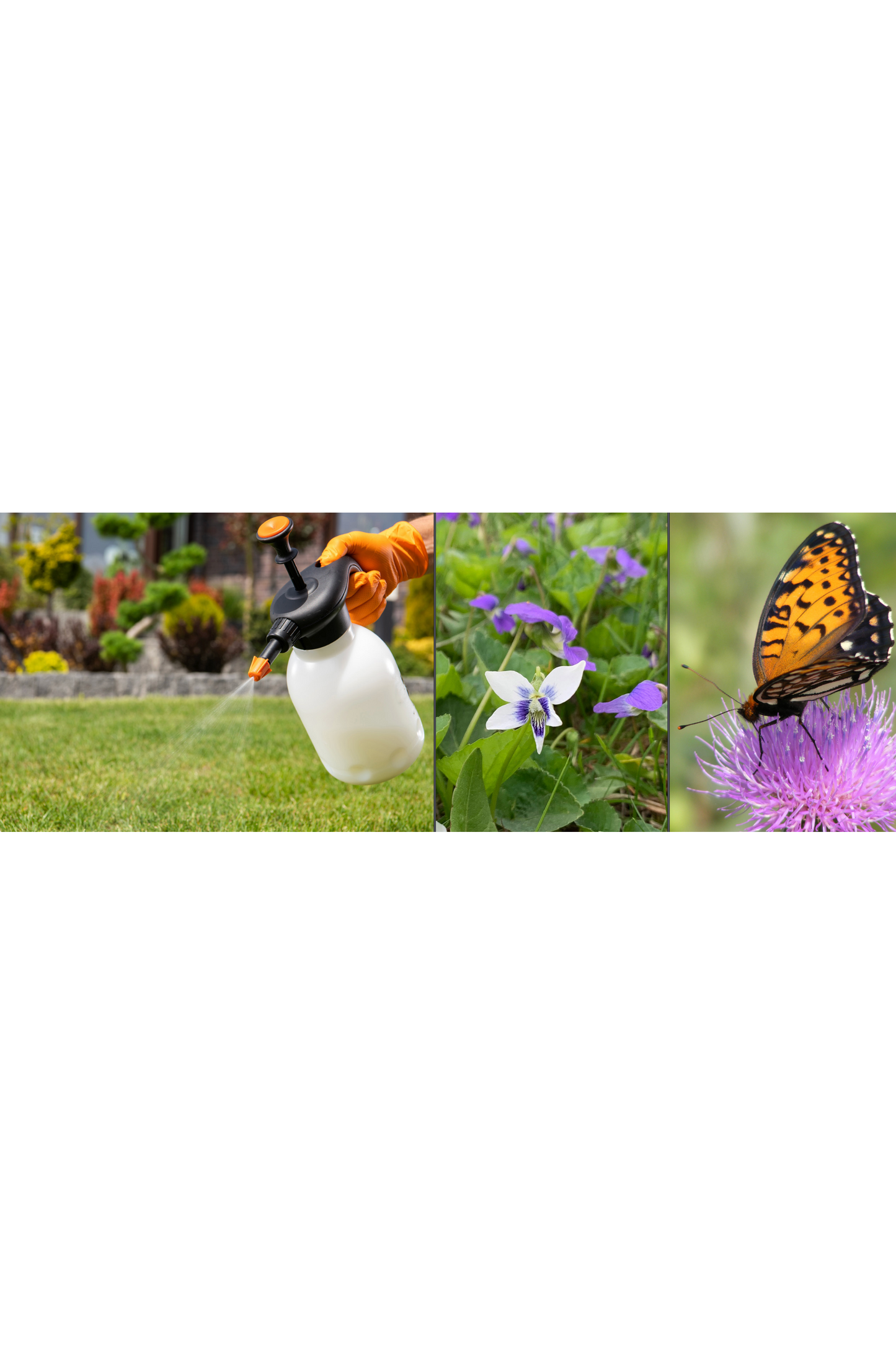 Protecting Pollinators from Herbicides (Source: The Xerces Society)