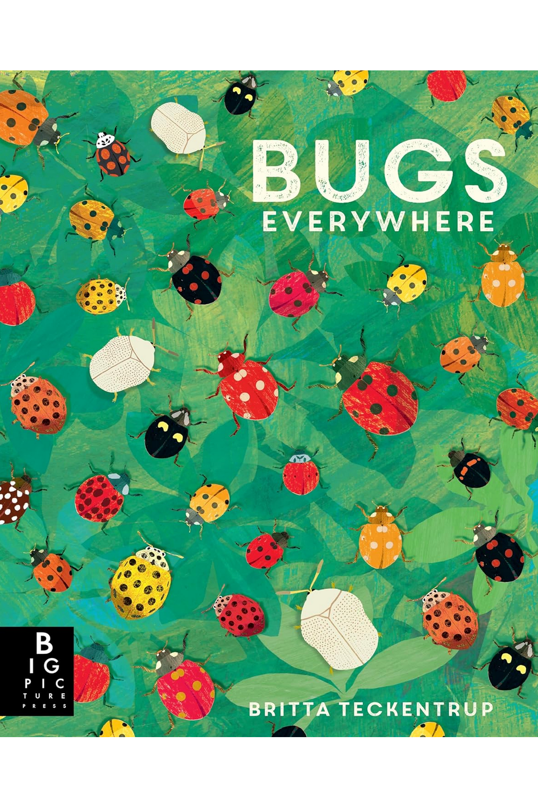 Bugs Everywhere