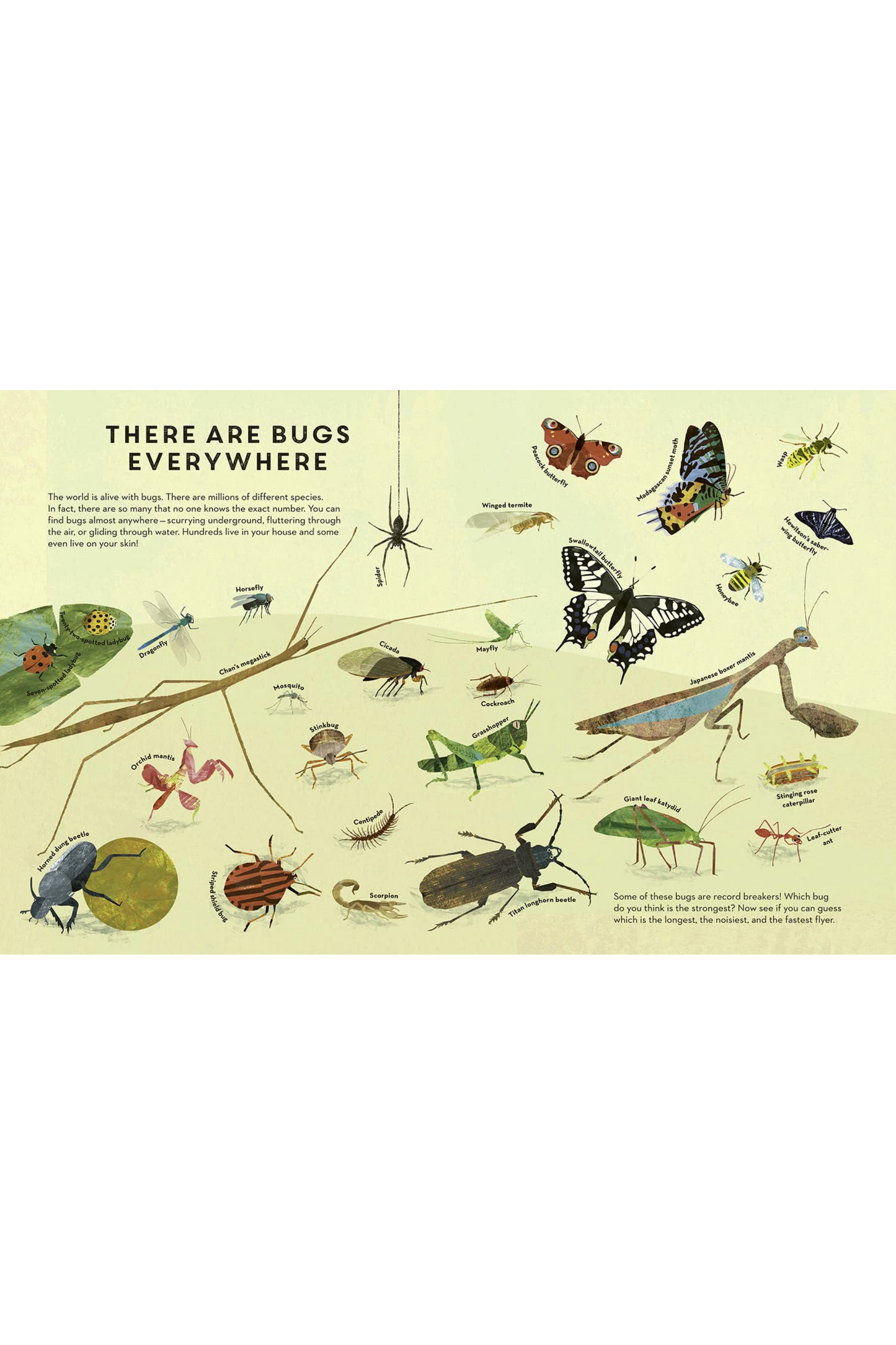 Bugs Everywhere