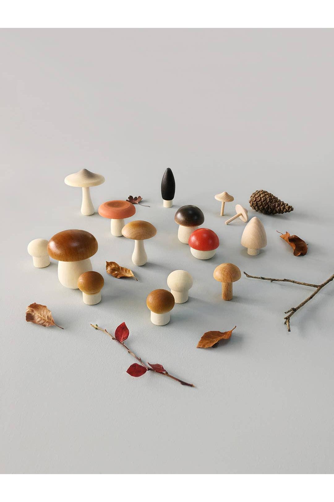 Forest Mushrooms Basket