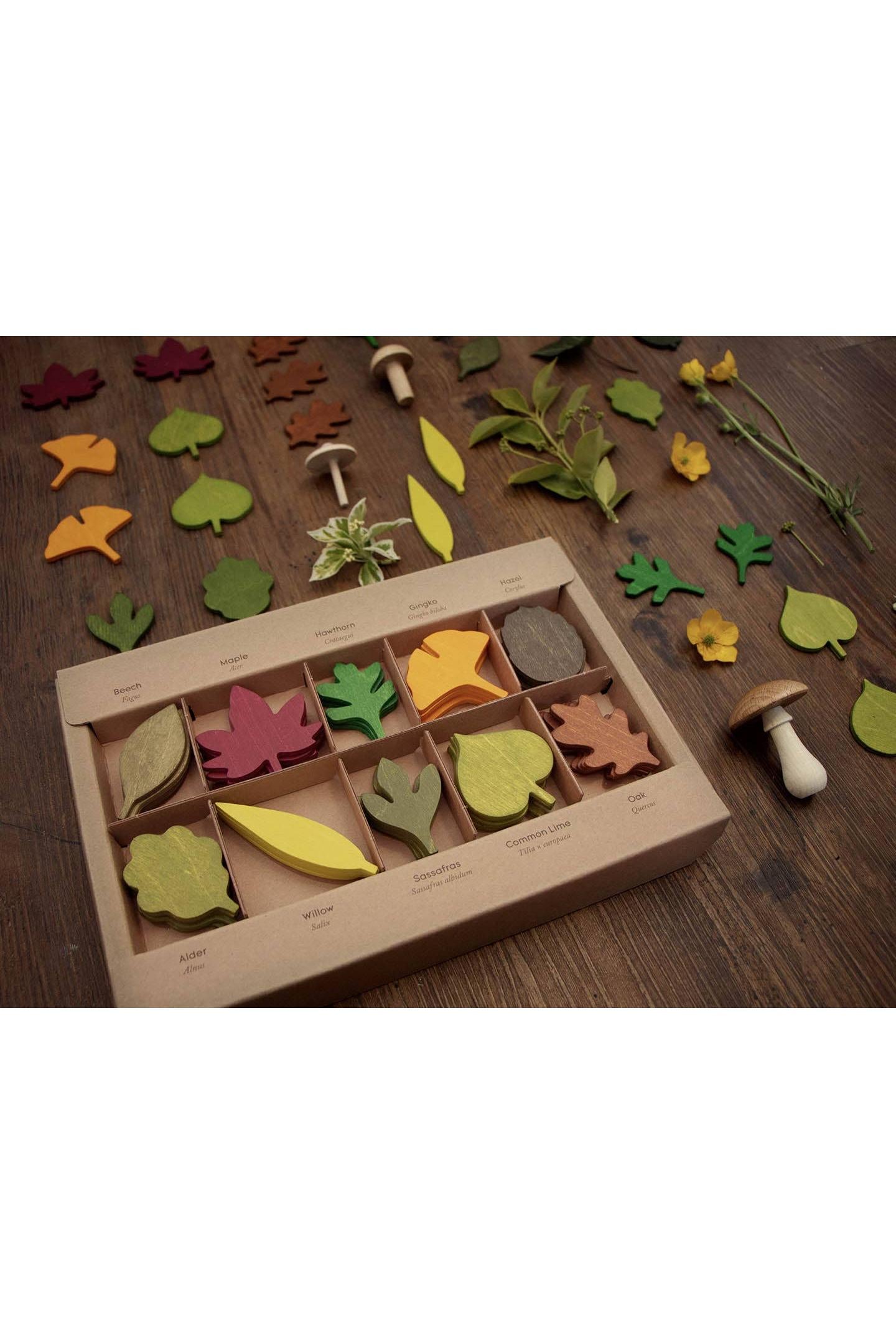 Wooden Leaves Toy Set